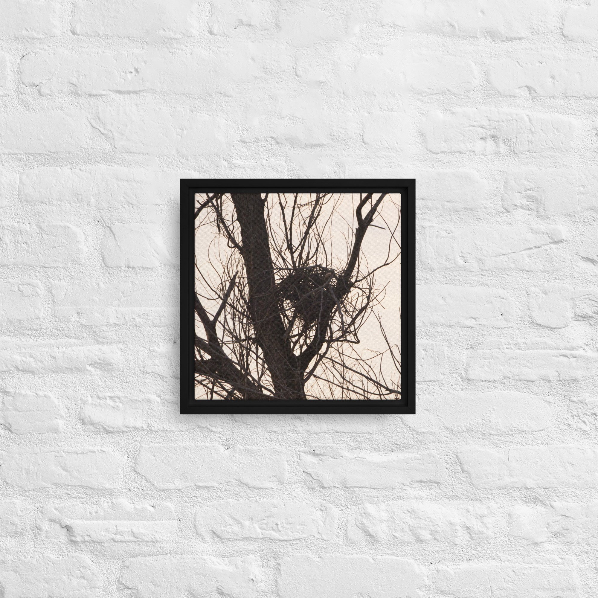framed-canvas-(in)-black-12x12-front-65ee8d5b6abf2.jpg