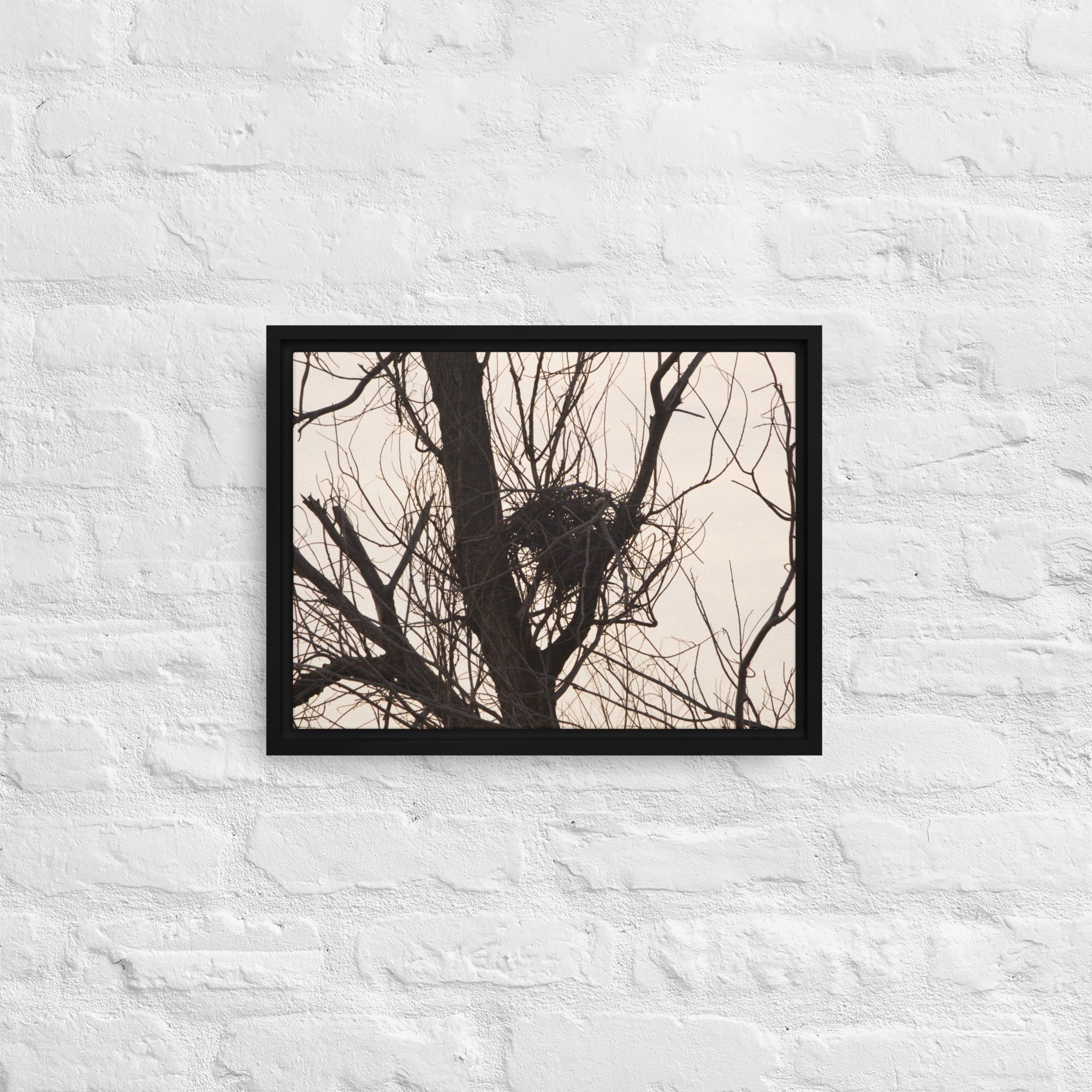 framed-canvas-(in)-black-12x16-front-65ee8d5b6ac5e.jpg