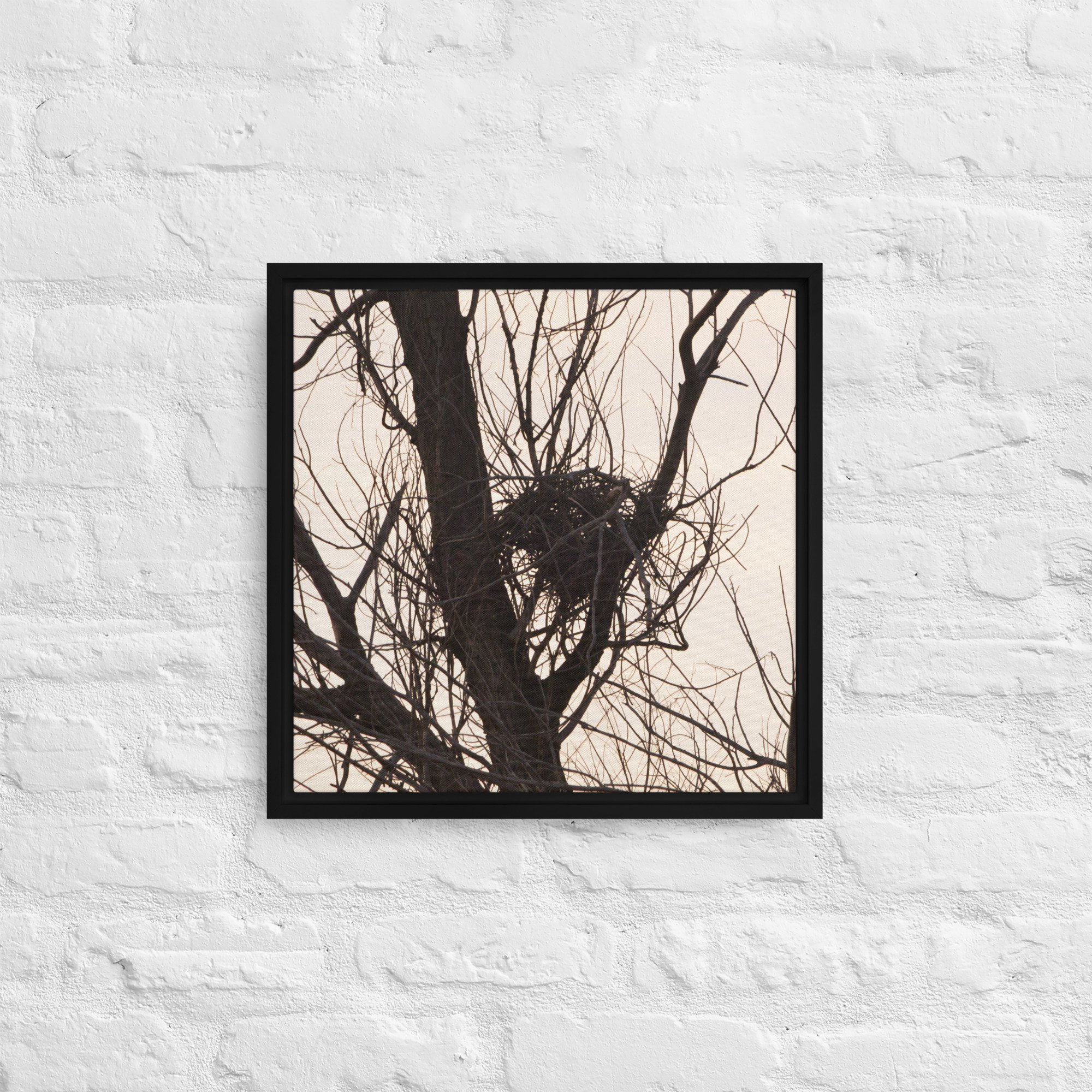framed-canvas-(in)-black-16x16-front-65ee8d5b6acba.jpg