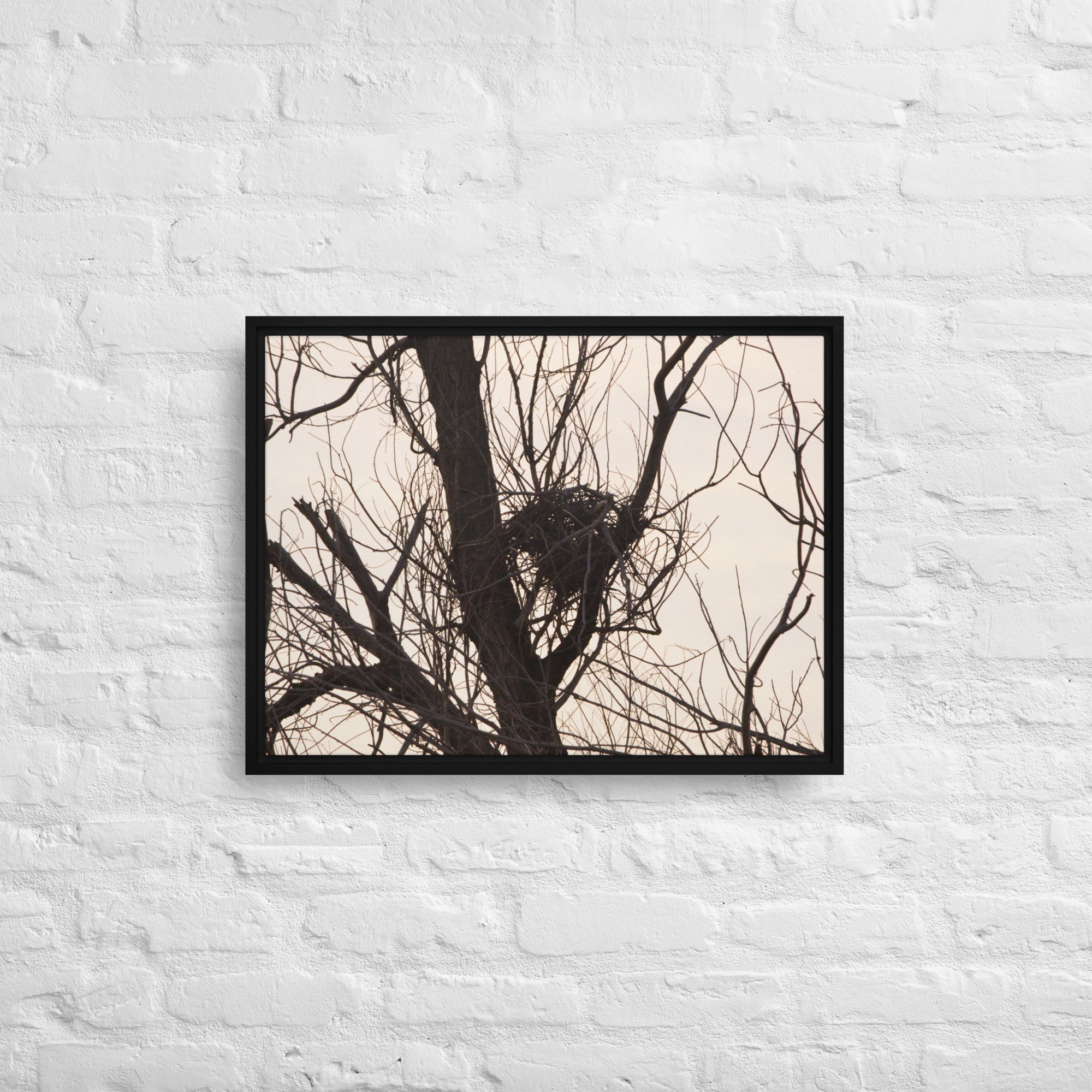 framed-canvas-(in)-black-18x24-front-65ee8d5b6ad45.jpg