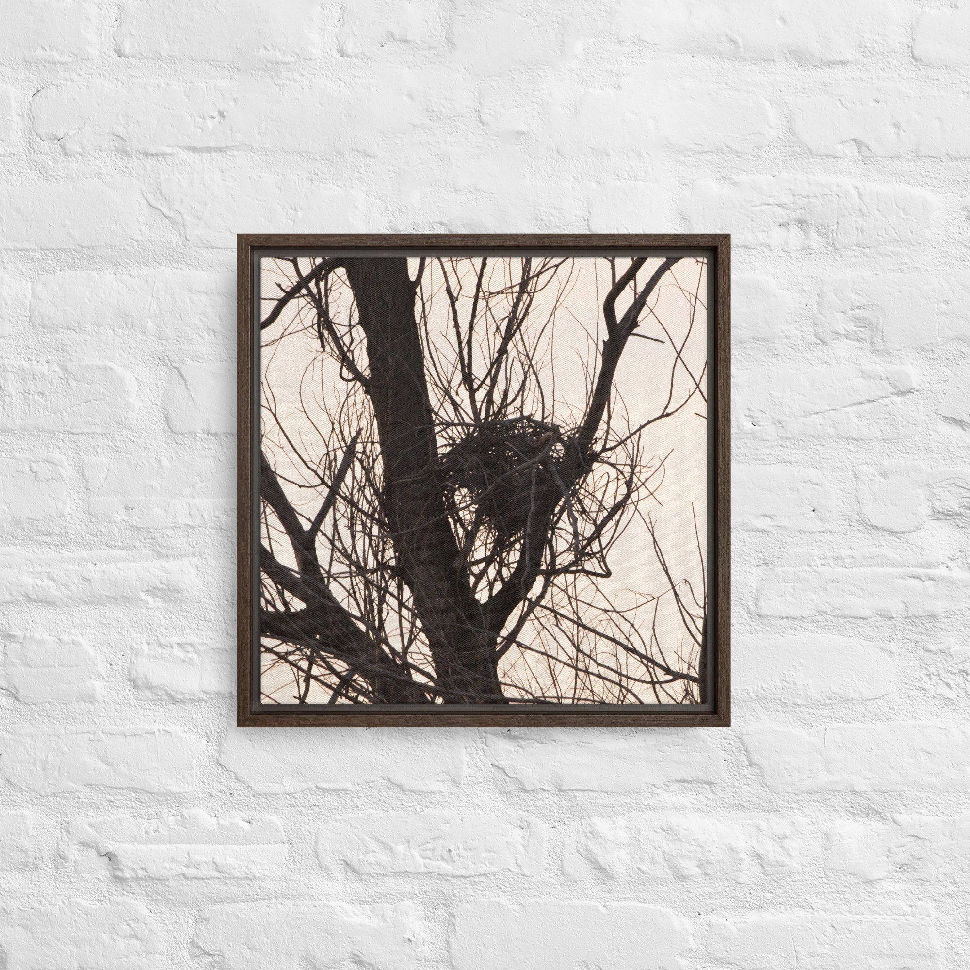 framed-canvas-(in)-brown-16x16-front-65ee8d5b6ae22.jpg