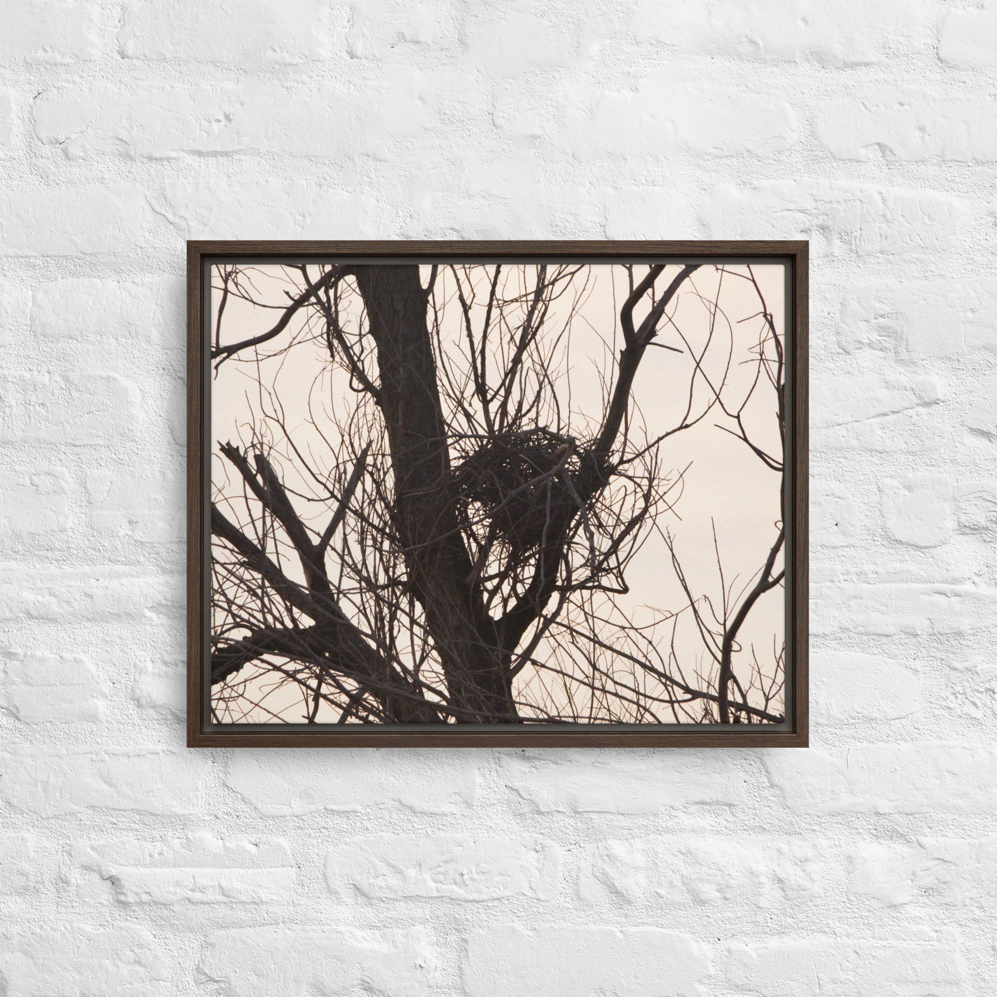 framed-canvas-(in)-brown-16x20-front-65ee8d5b6ae6e.jpg