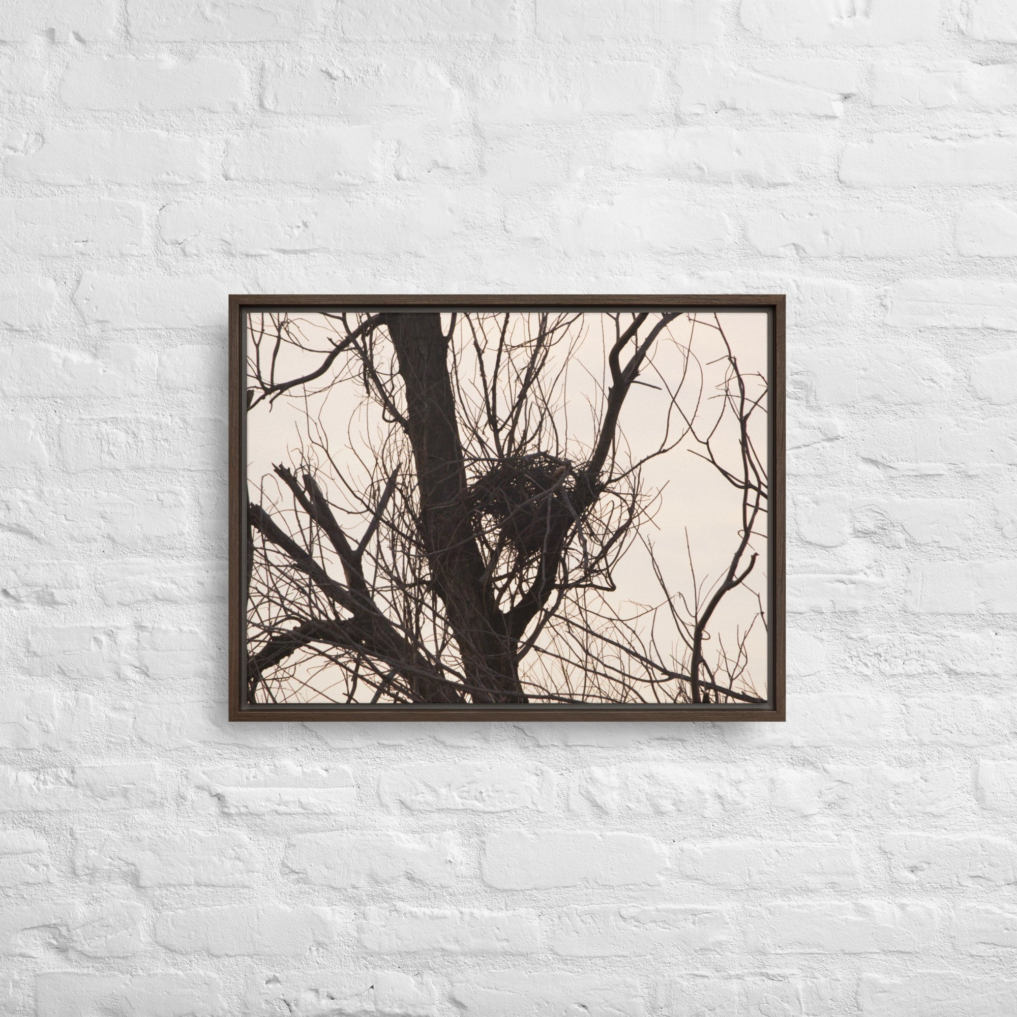 framed-canvas-(in)-brown-18x24-front-65ee8d5b6aead.jpg