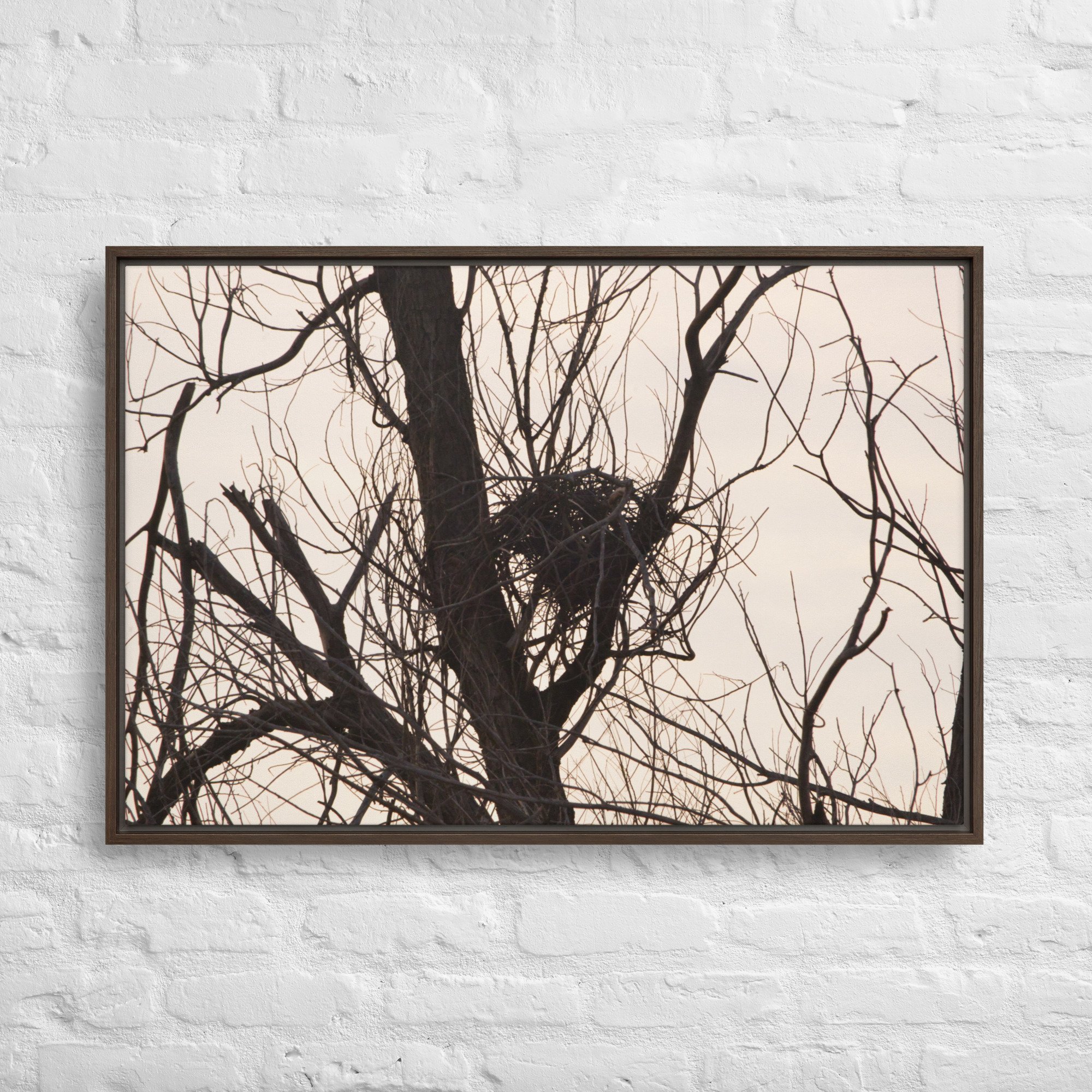 framed-canvas-(in)-brown-24x36-front-65ee8d5b6aeec.jpg