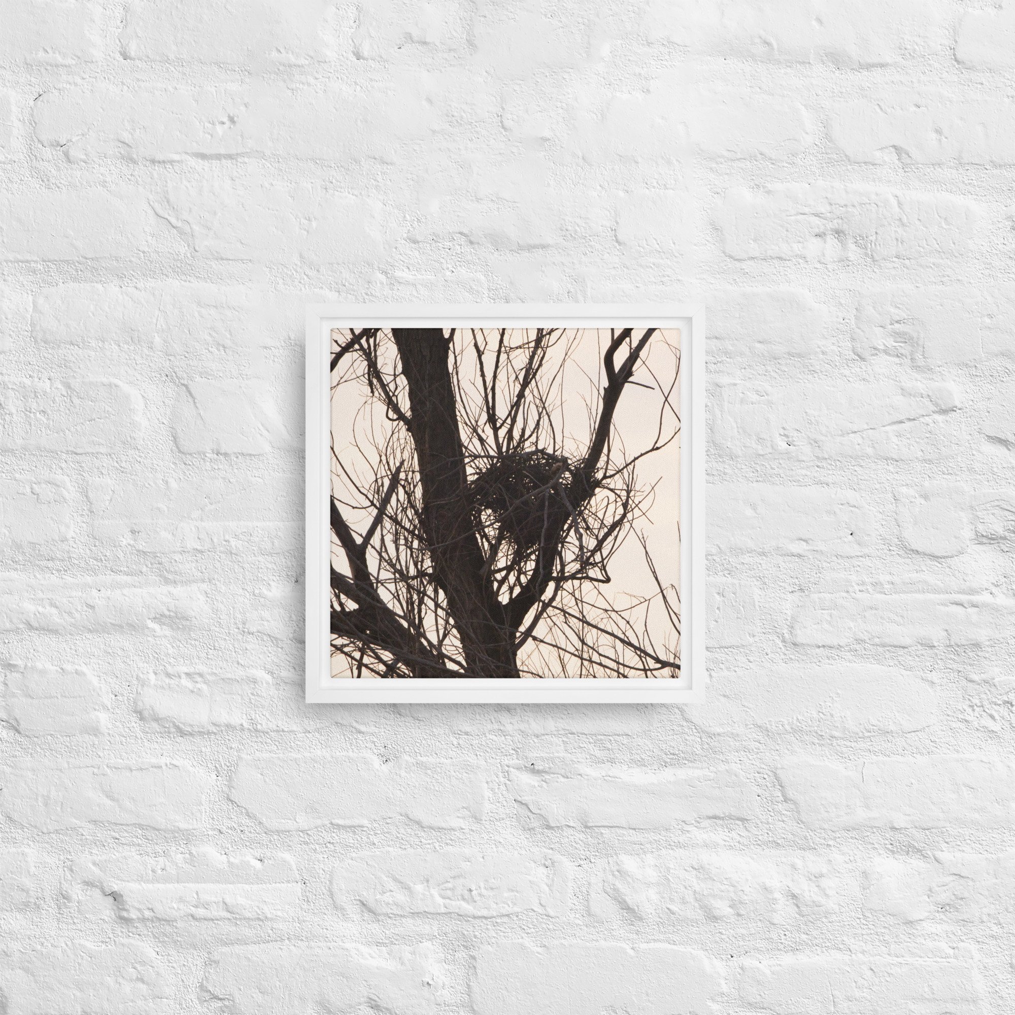 framed-canvas-(in)-white-12x12-front-65ee8d5b6af2a.jpg
