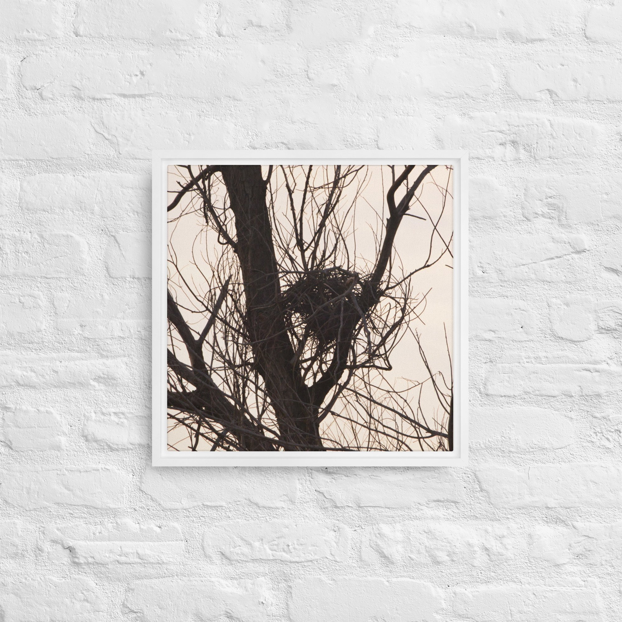 framed-canvas-(in)-white-16x16-front-65ee8d5b6afb7.jpg