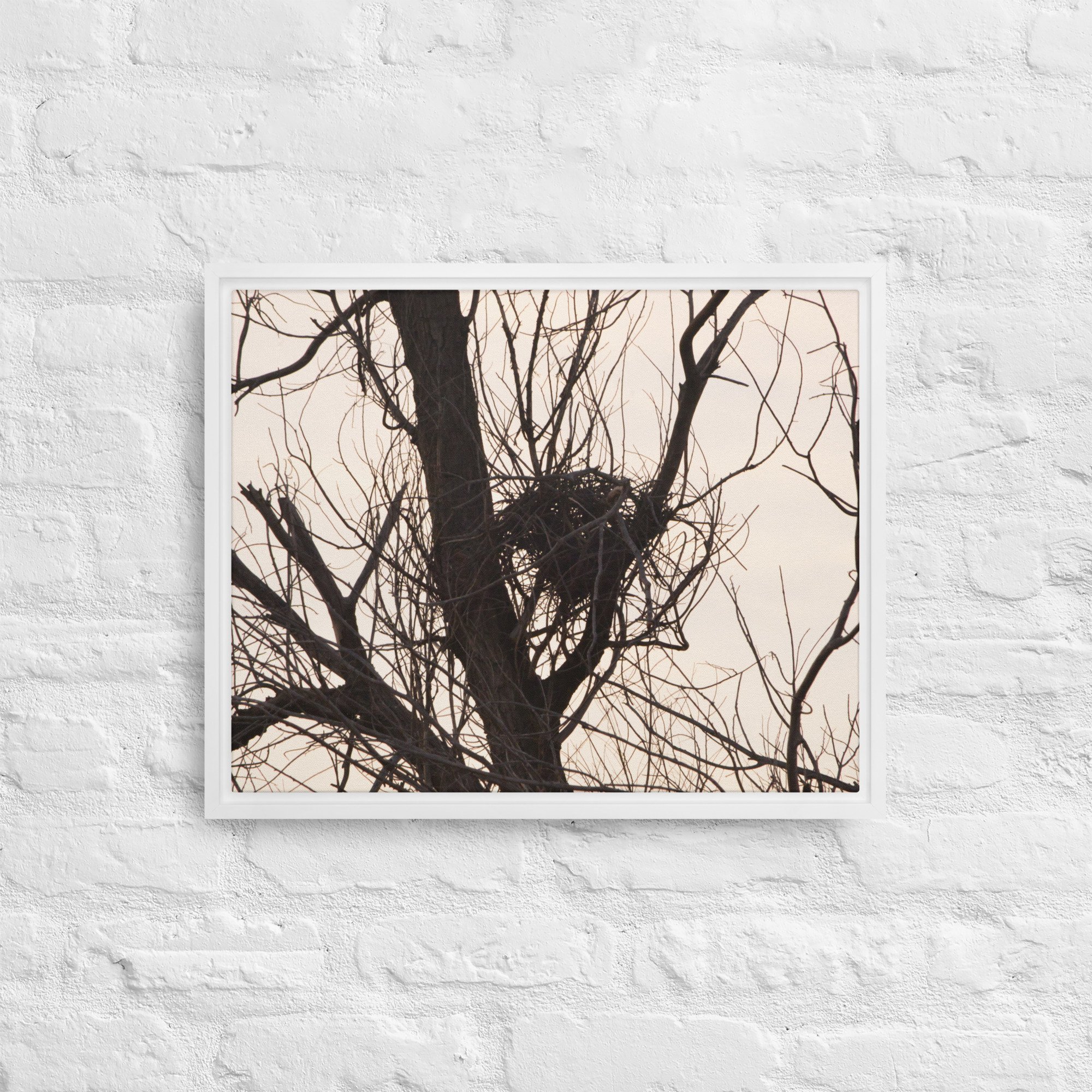 framed-canvas-(in)-white-16x20-front-65ee8d5b6b022.jpg