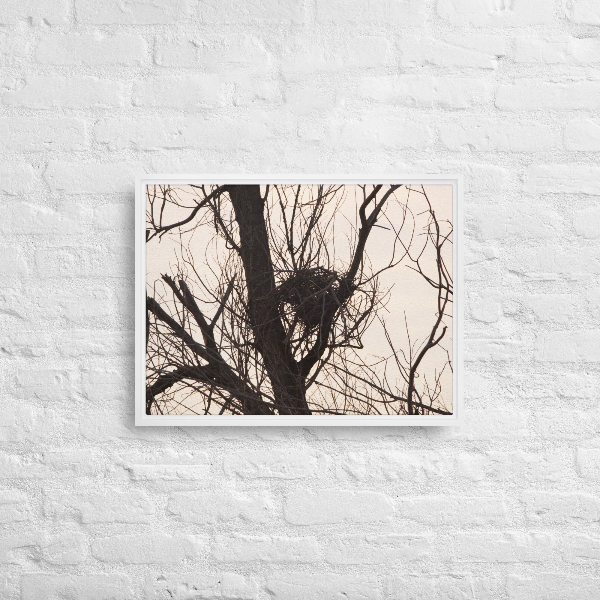framed-canvas-(in)-white-18x24-front-65ee8d5b6b0a3.jpg