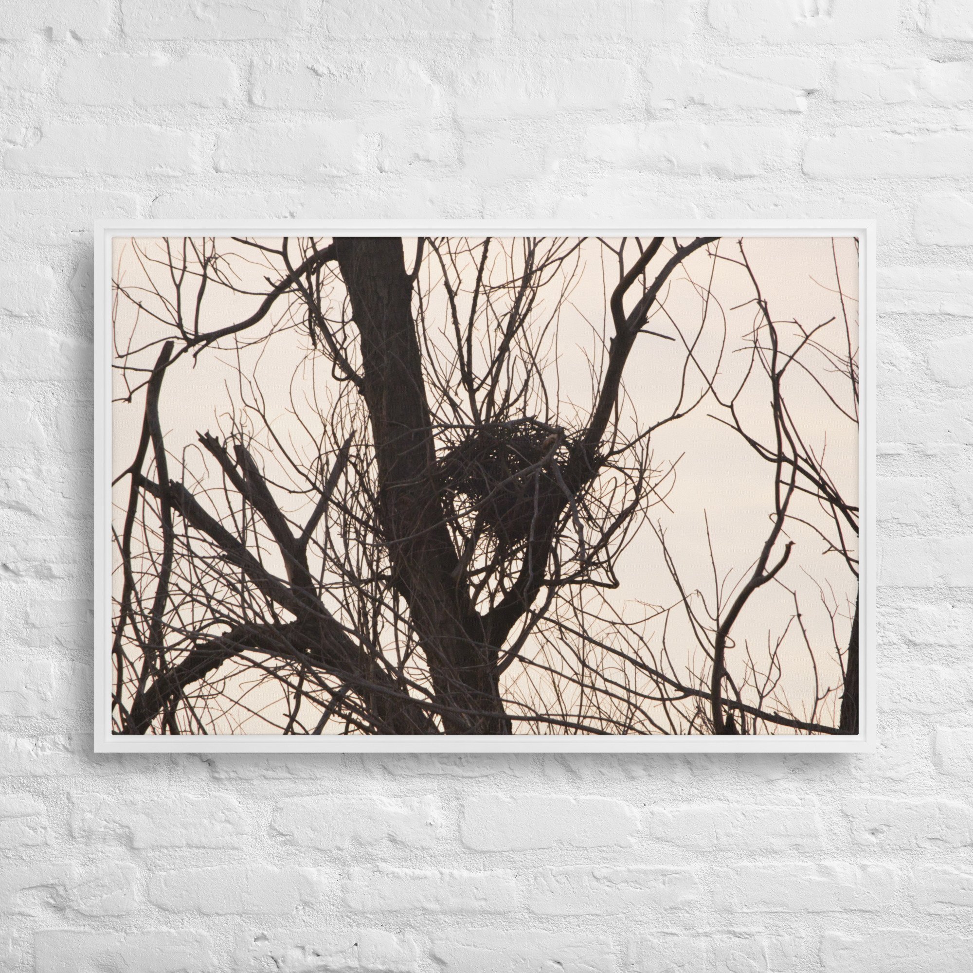 framed-canvas-(in)-white-24x36-front-65ee8d5b6b0ee.jpg