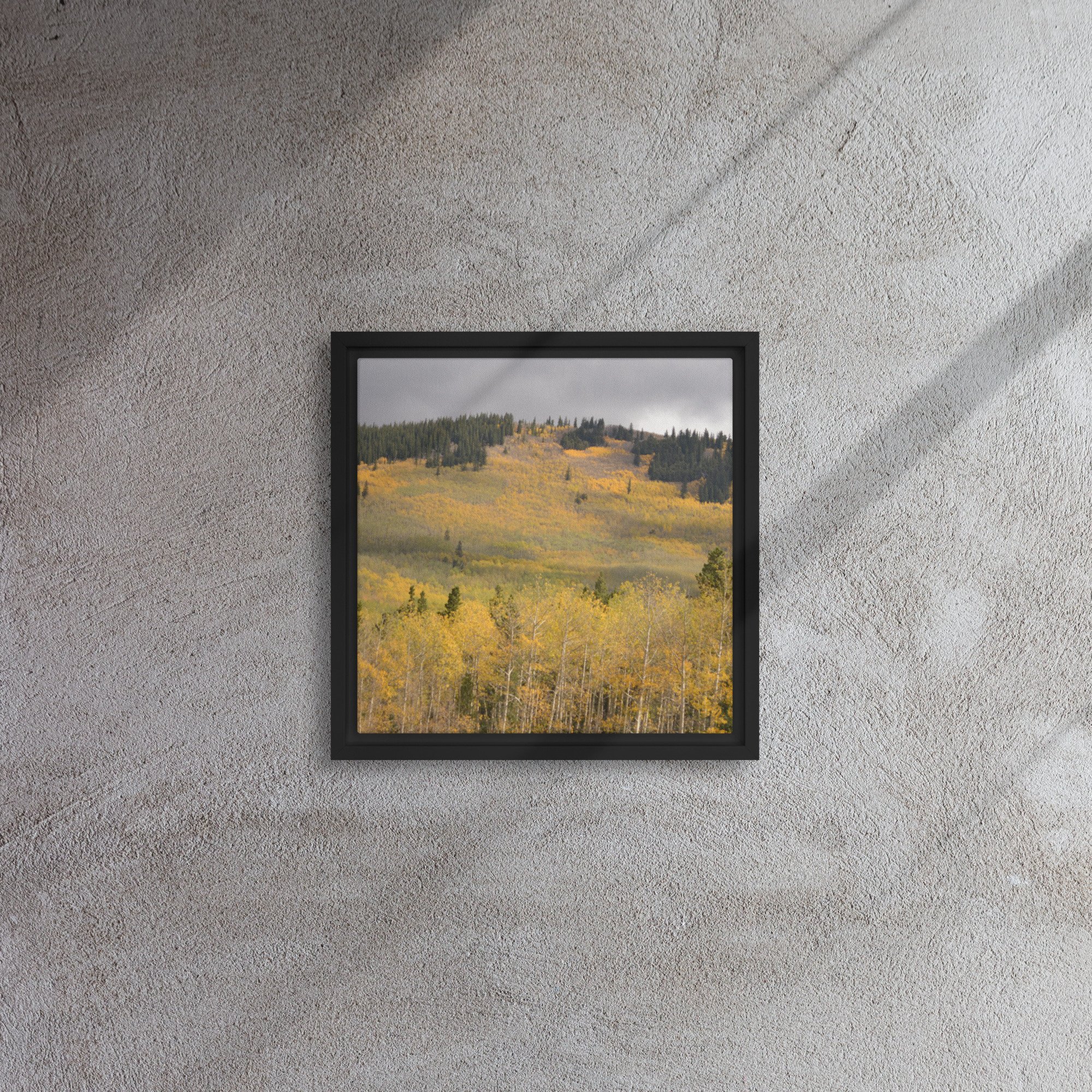 framed-canvas-(in)-black-12x12-front-65ee8dae3be38.jpg