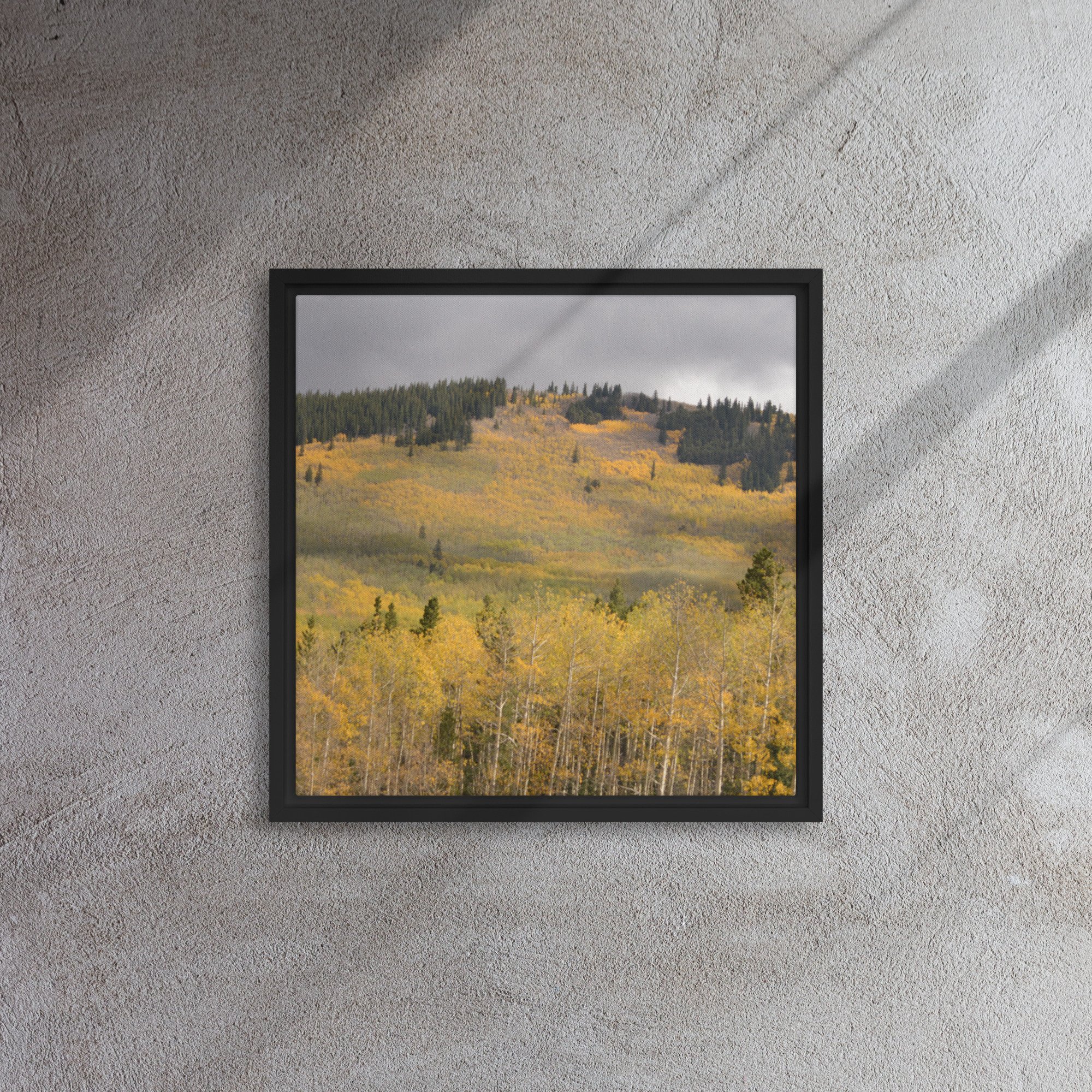 framed-canvas-(in)-black-16x16-front-65ee8dae3bf40.jpg