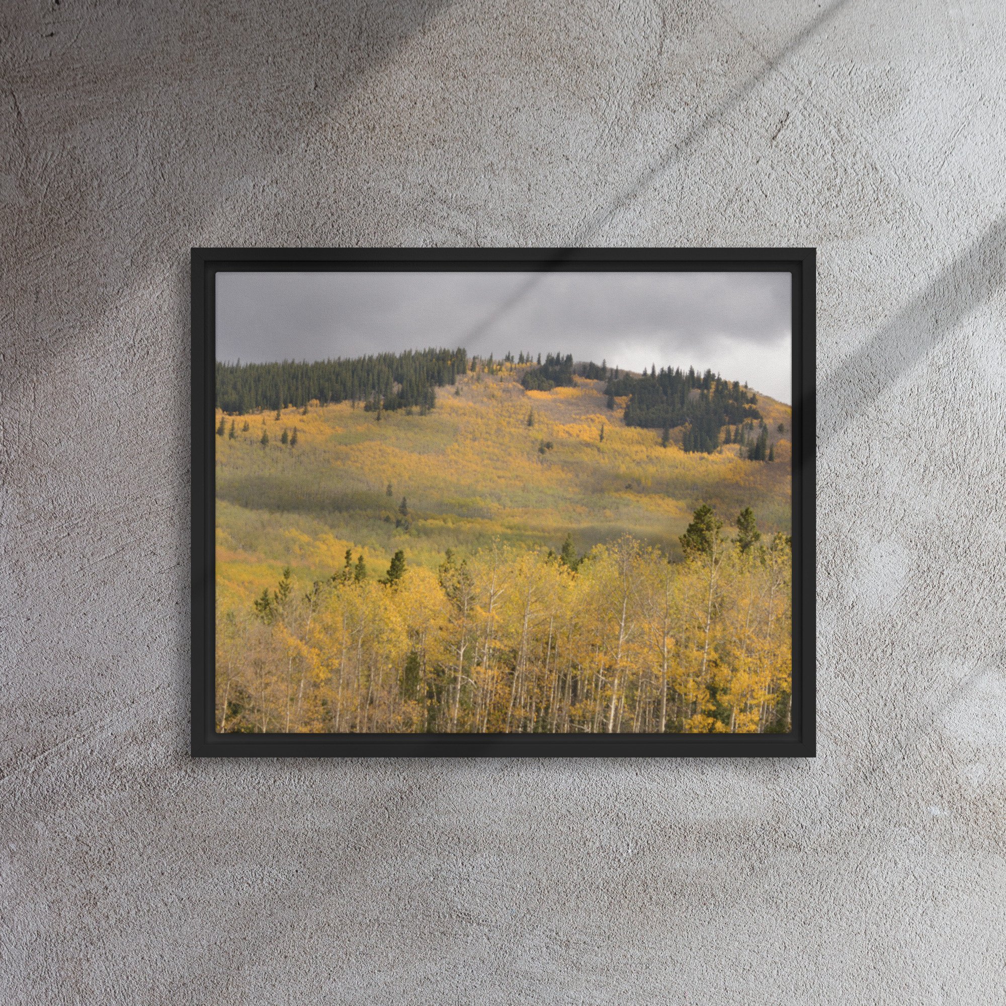 framed-canvas-(in)-black-16x20-front-65ee8dae3bfb2.jpg