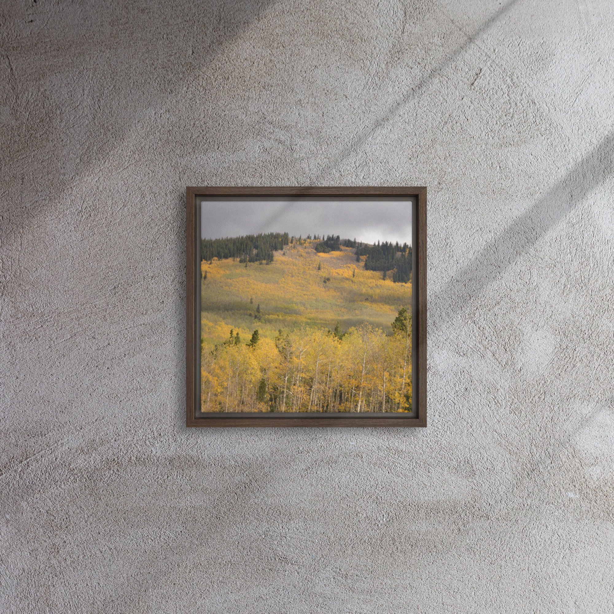 framed-canvas-(in)-brown-12x12-front-65ee8dae3c0ad.jpg