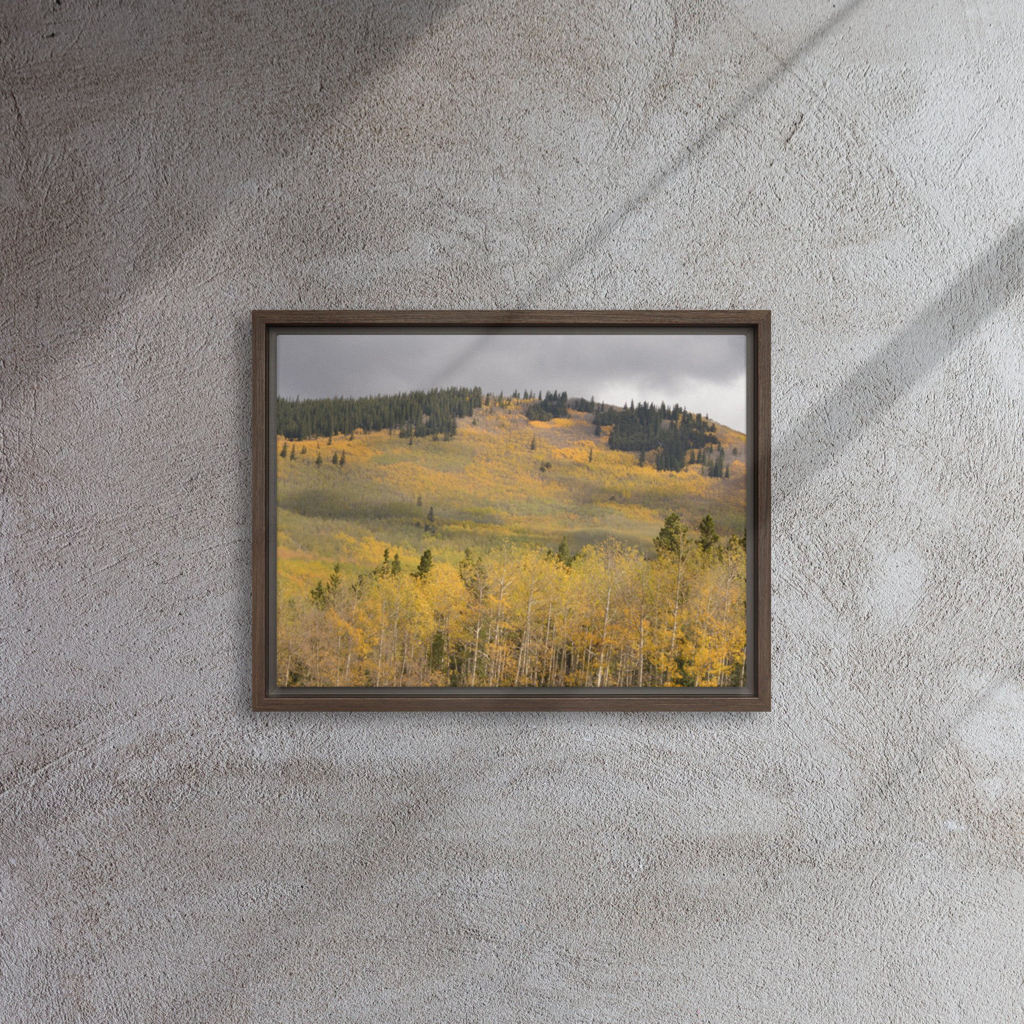framed-canvas-(in)-brown-12x16-front-65ee8dae3c117.jpg