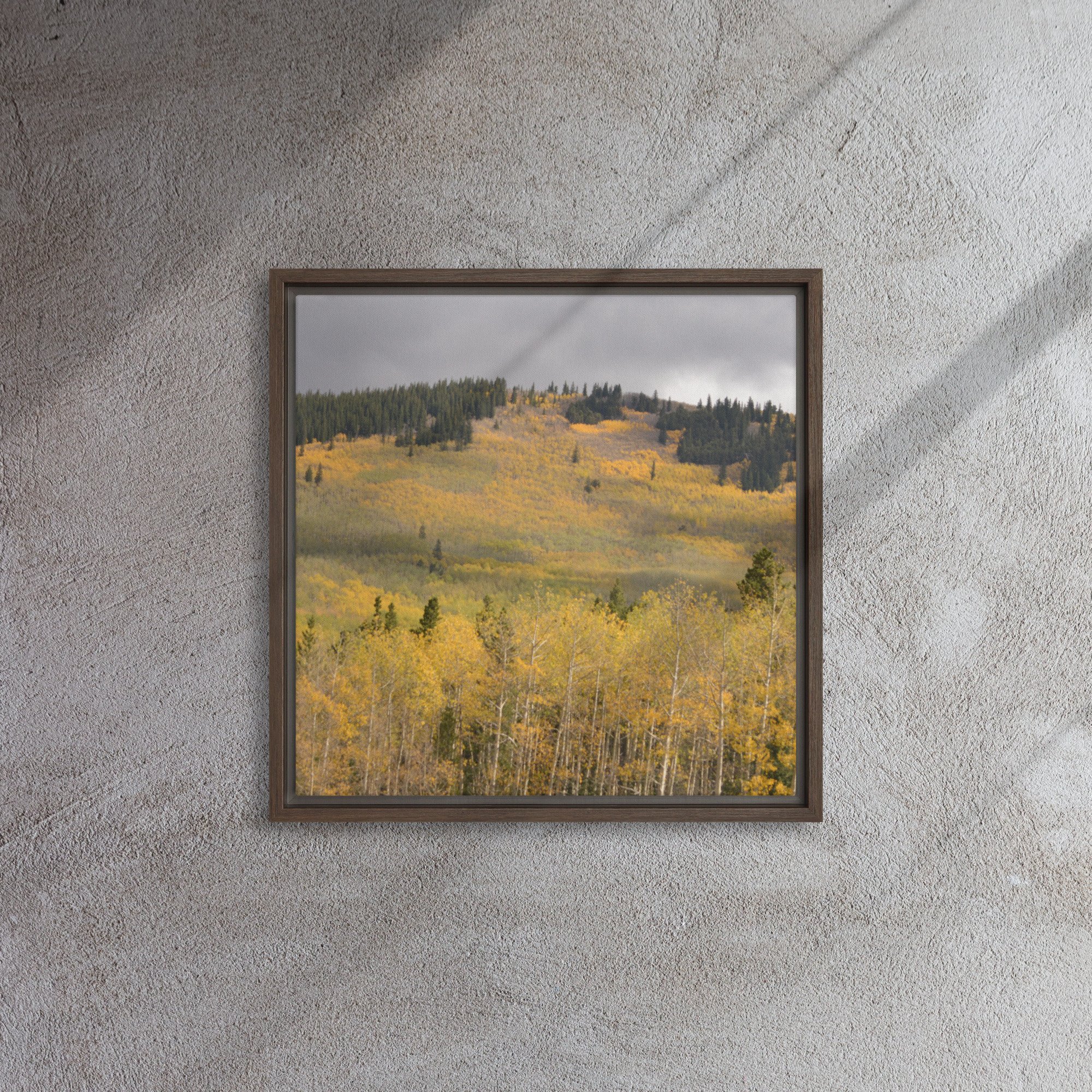 framed-canvas-(in)-brown-16x16-front-65ee8dae3c182.jpg