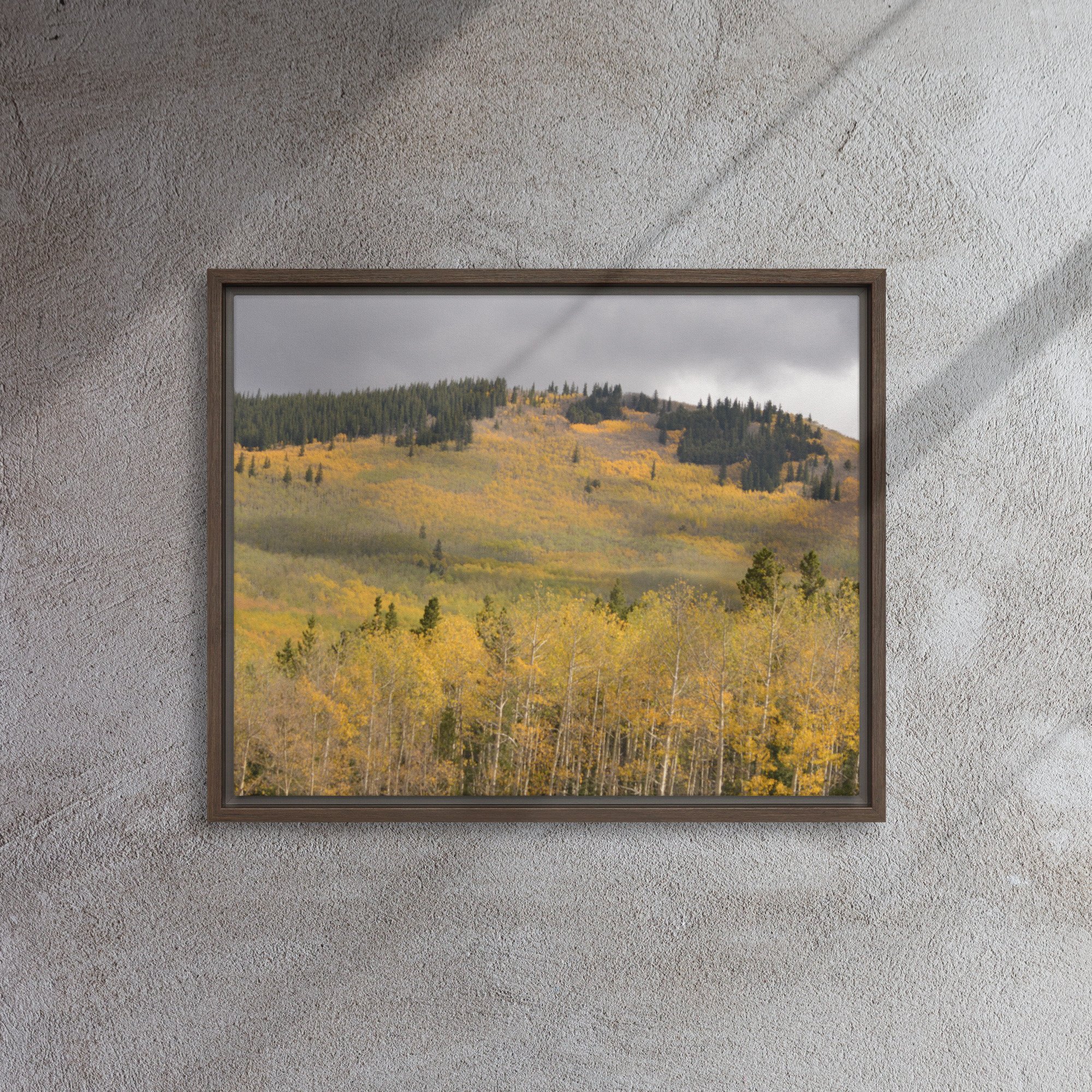framed-canvas-(in)-brown-16x20-front-65ee8dae3c1e6.jpg