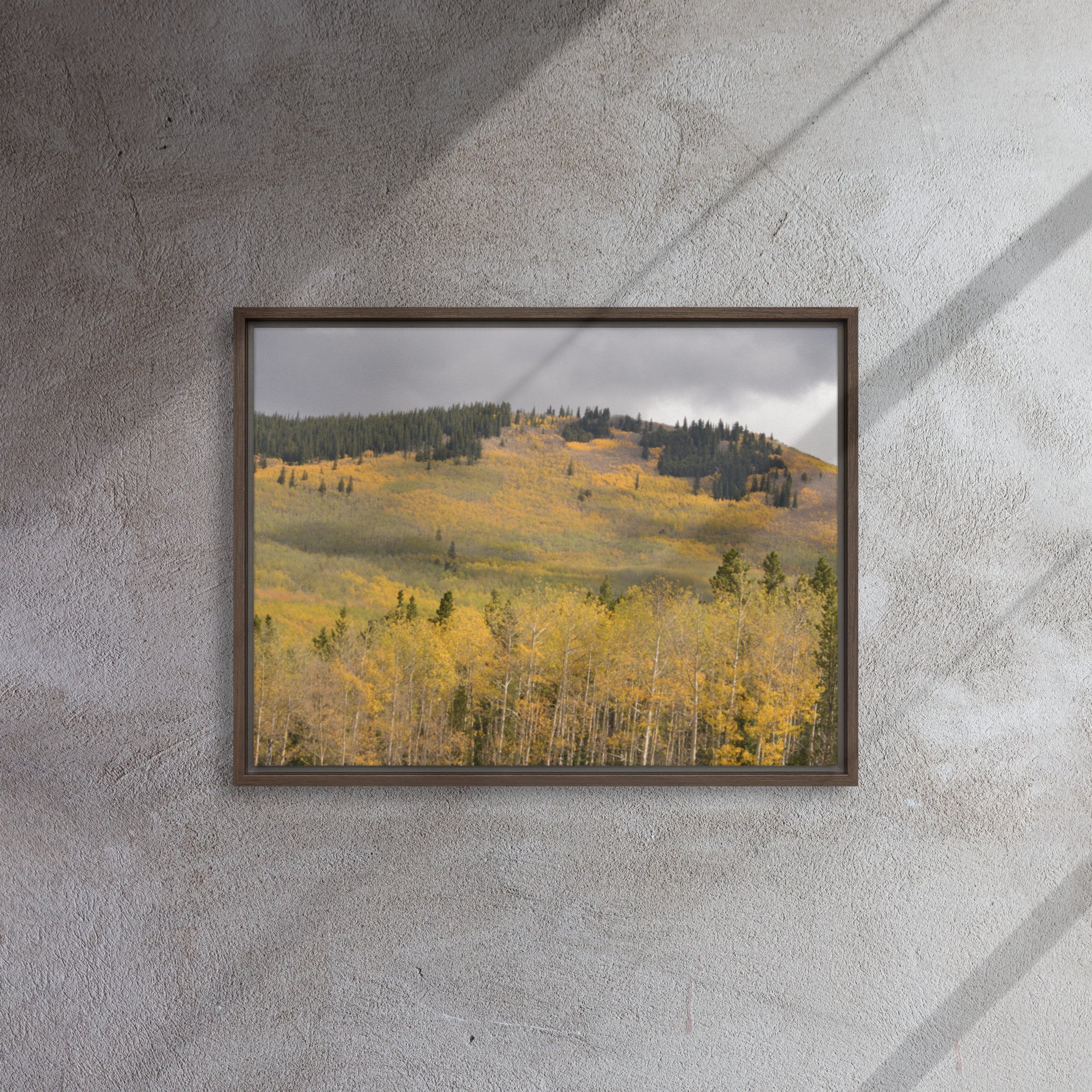 framed-canvas-(in)-brown-18x24-front-65ee8dae3c250.jpg