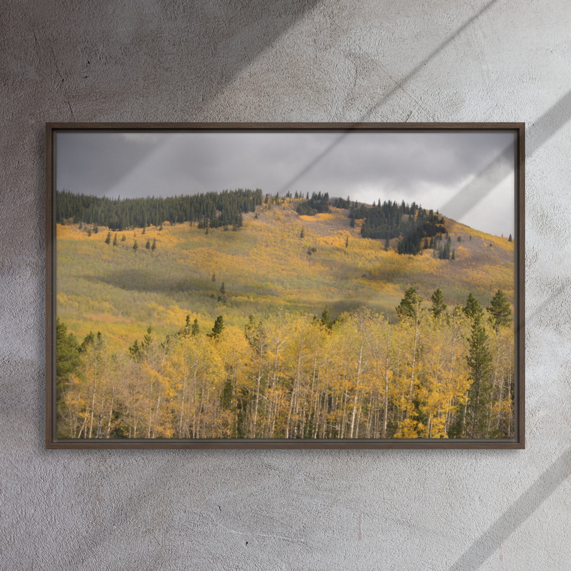 framed-canvas-(in)-brown-24x36-front-65ee8dae3c2b8.jpg