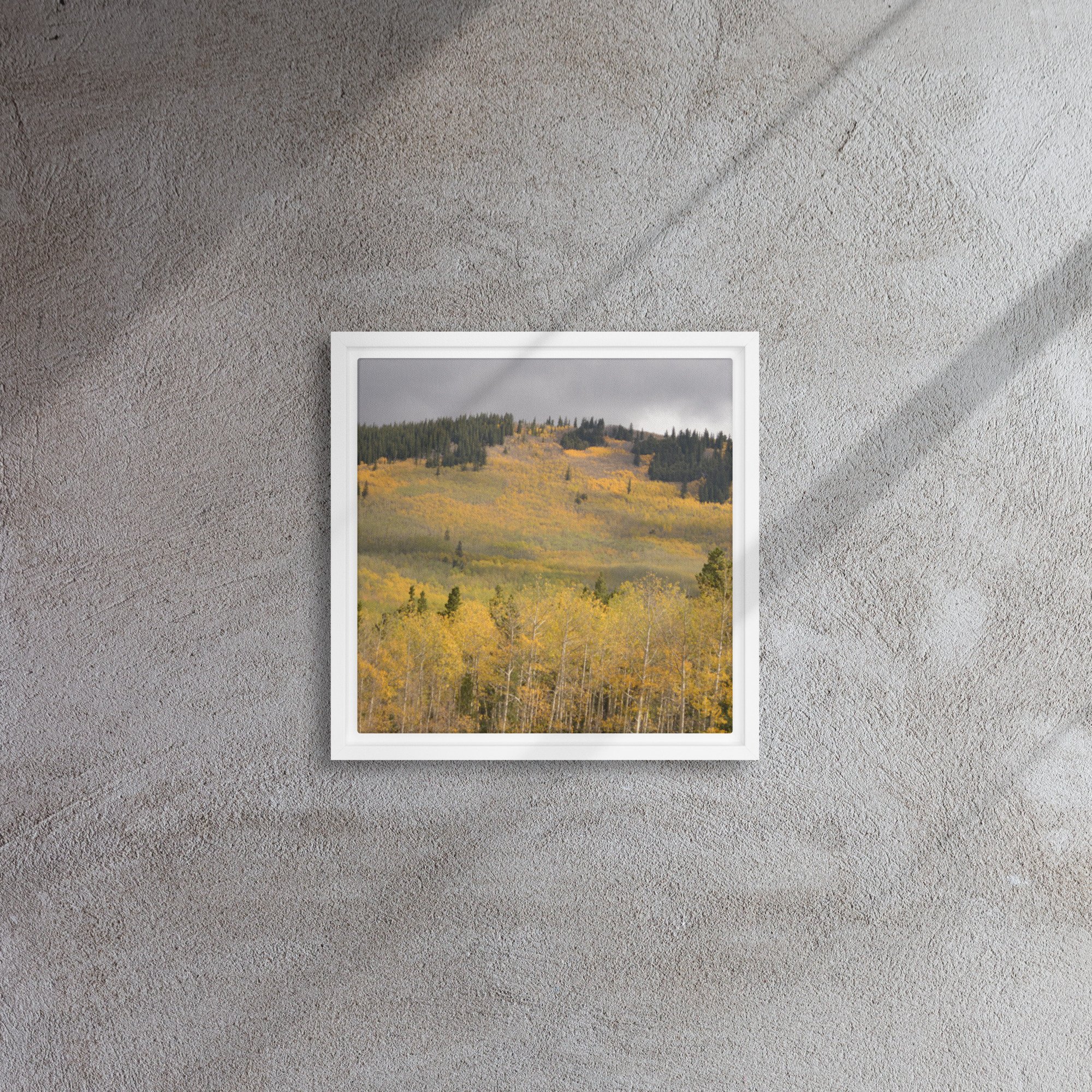 framed-canvas-(in)-white-12x12-front-65ee8dae3c324.jpg