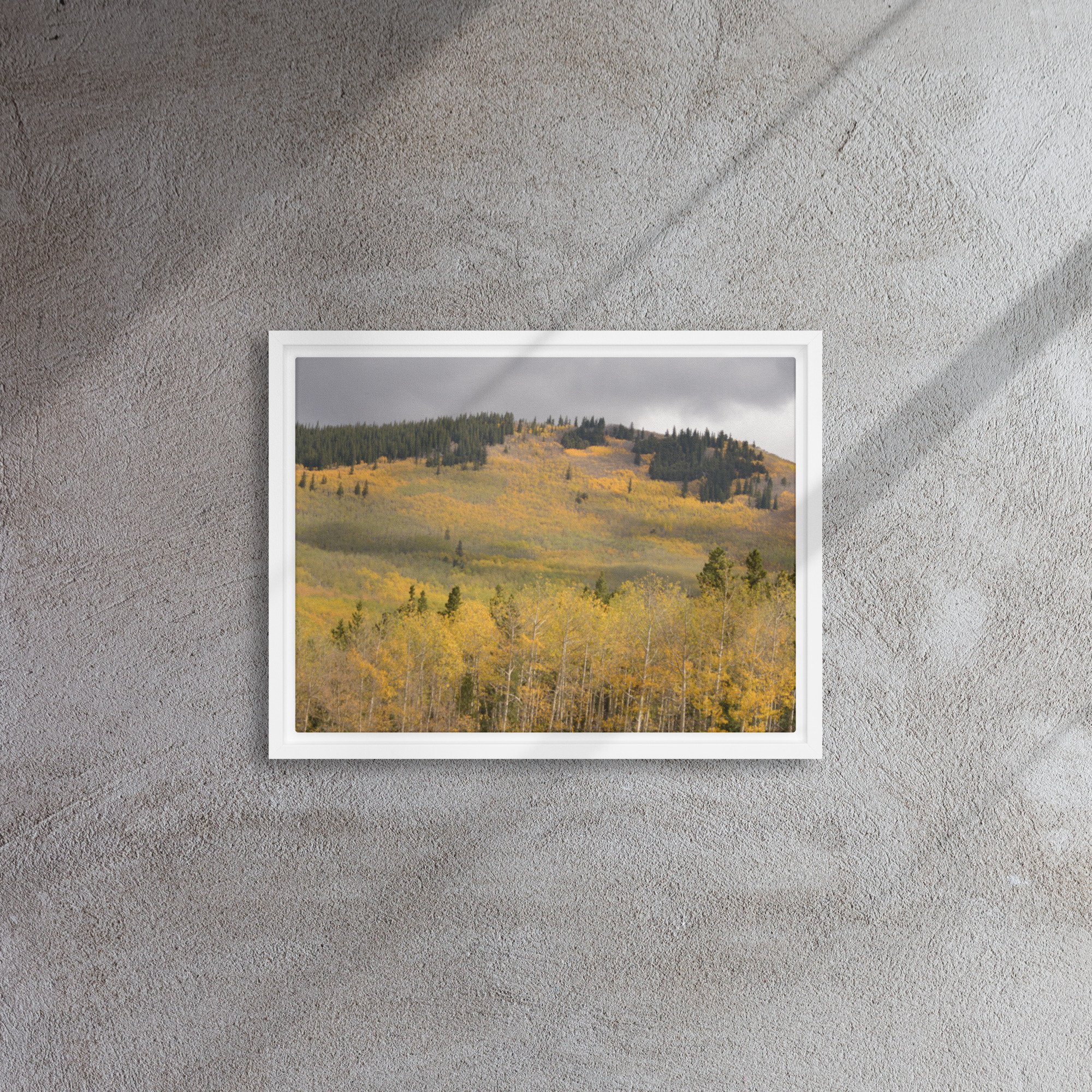 framed-canvas-(in)-white-12x16-front-65ee8dae3c394.jpg