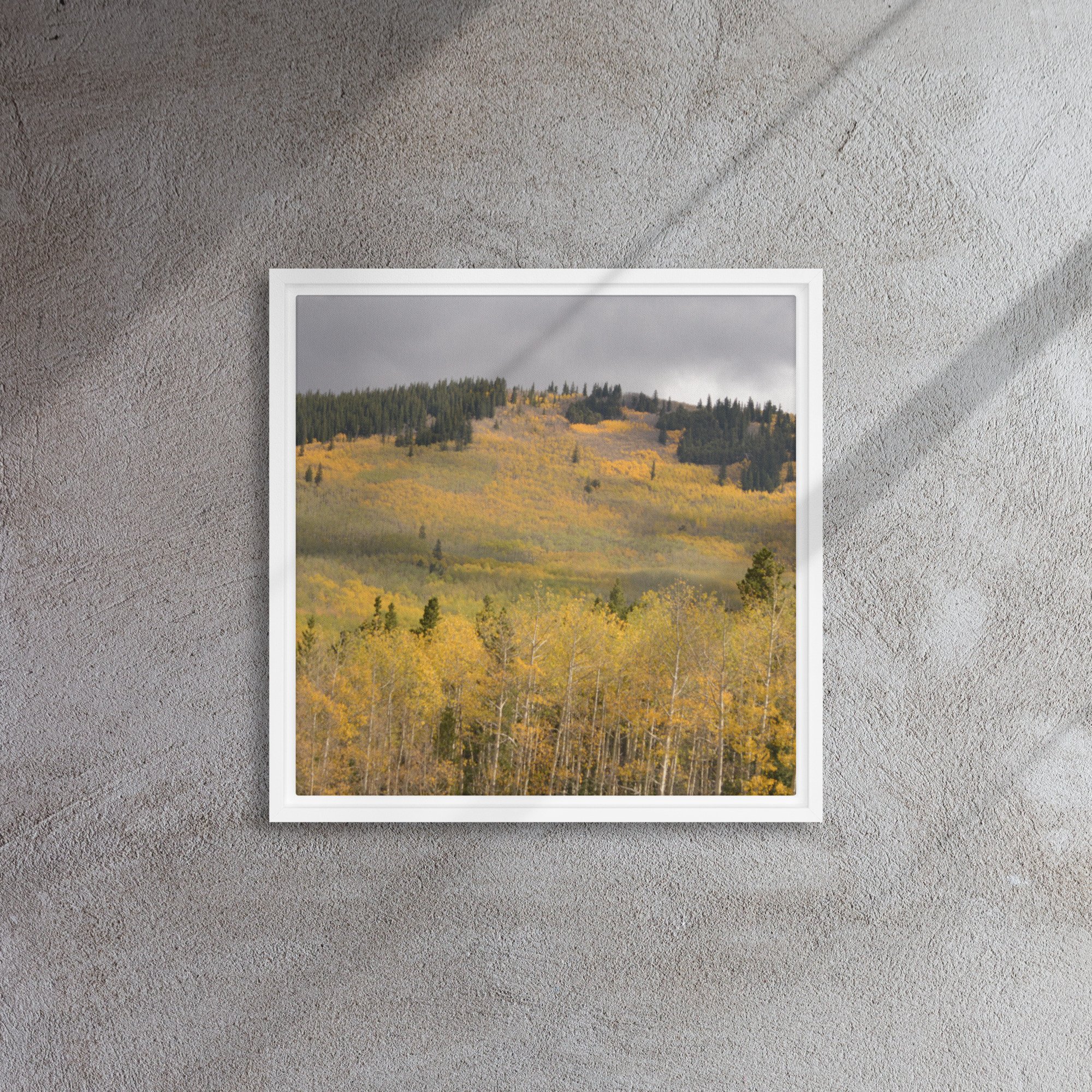 framed-canvas-(in)-white-16x16-front-65ee8dae3c3de.jpg