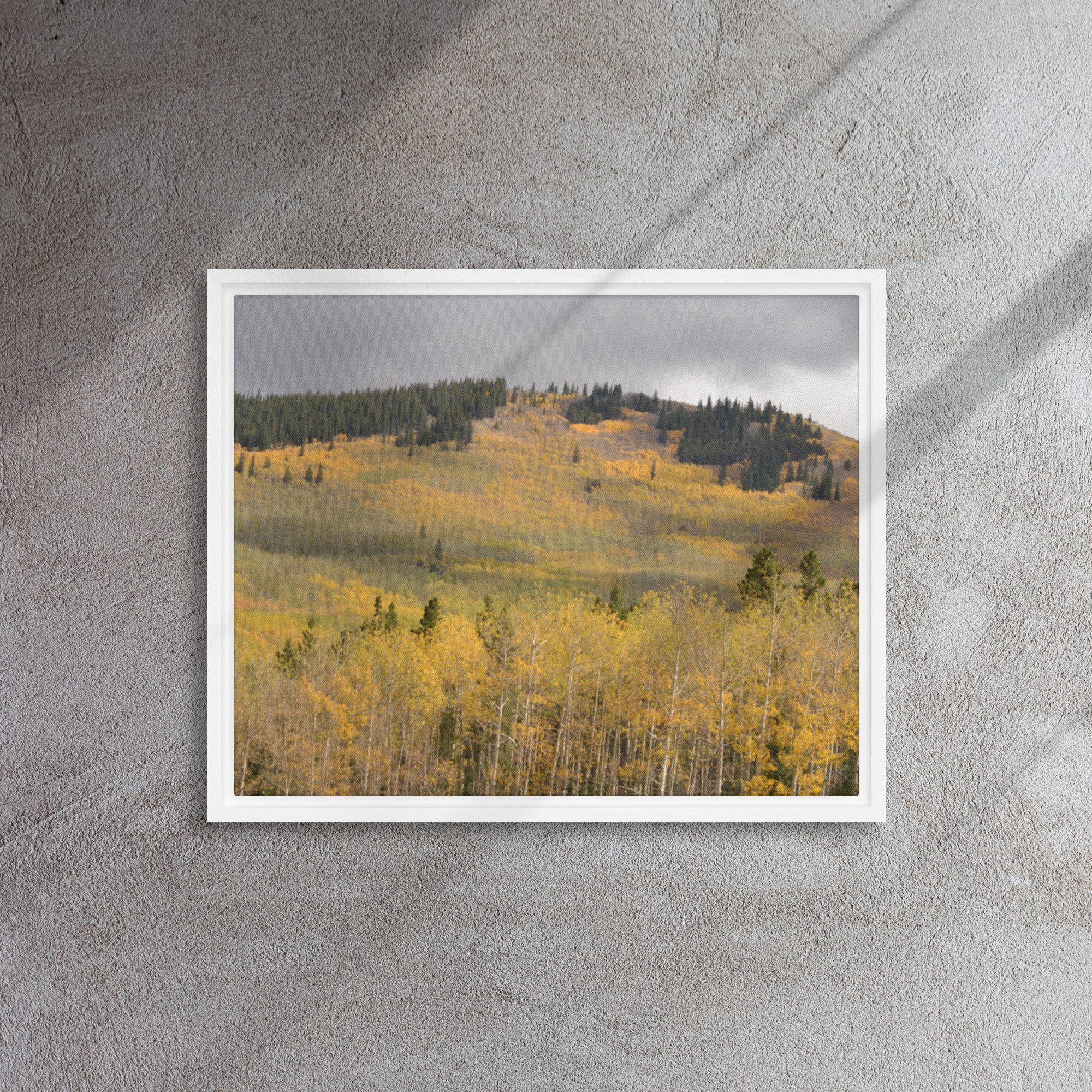 framed-canvas-(in)-white-16x20-front-65ee8dae3c41f.jpg