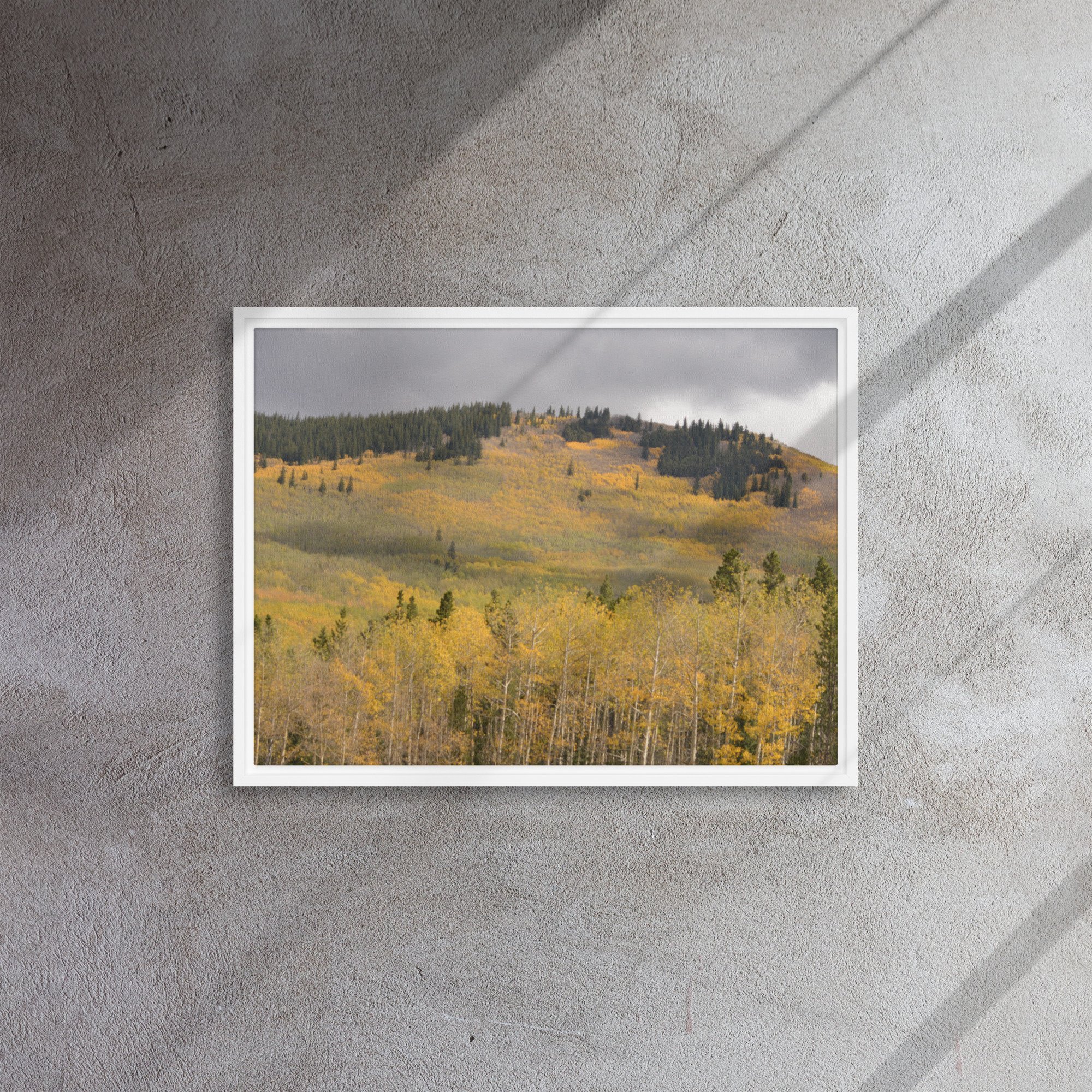framed-canvas-(in)-white-18x24-front-65ee8dae3c45e.jpg