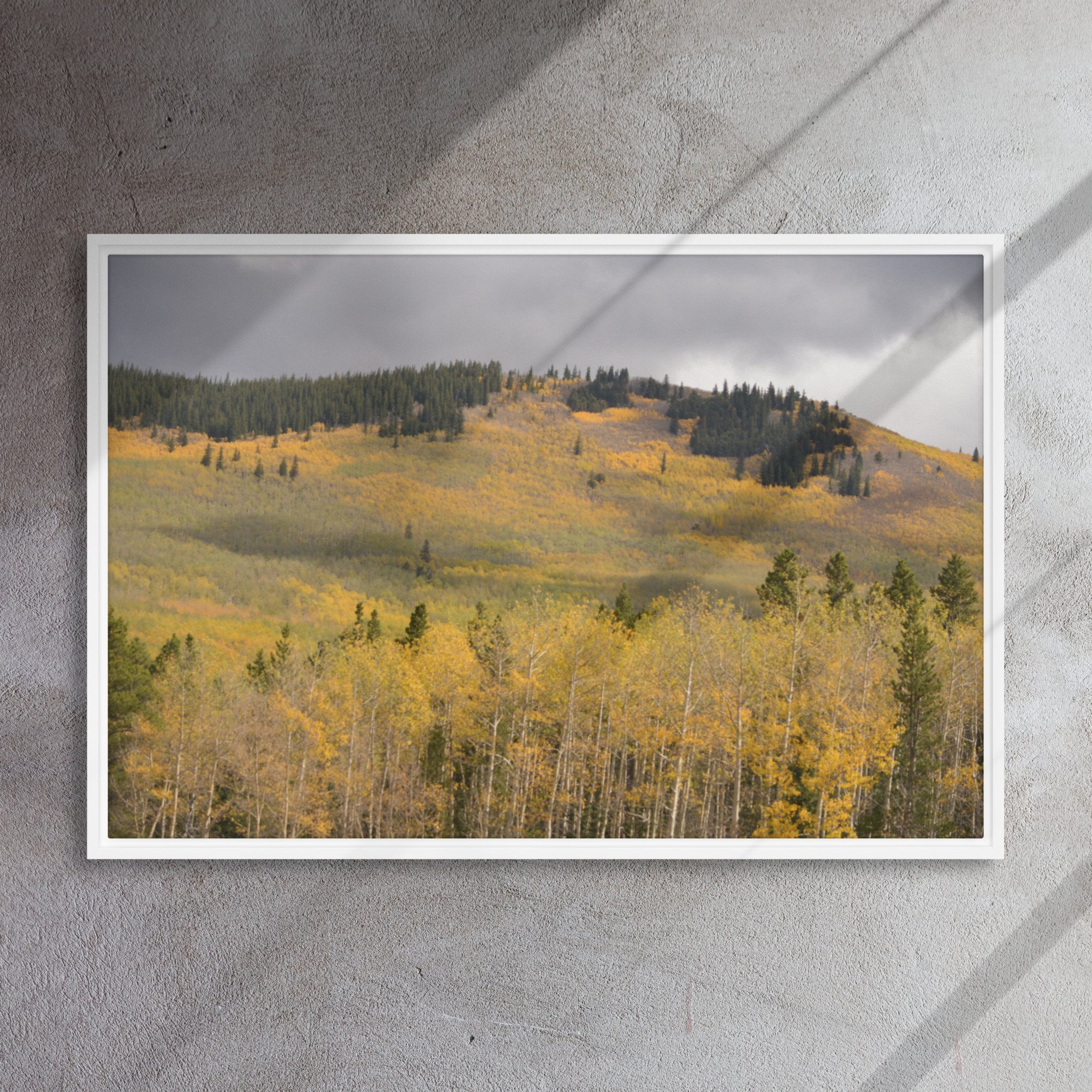framed-canvas-(in)-white-24x36-front-65ee8dae3c49d.jpg