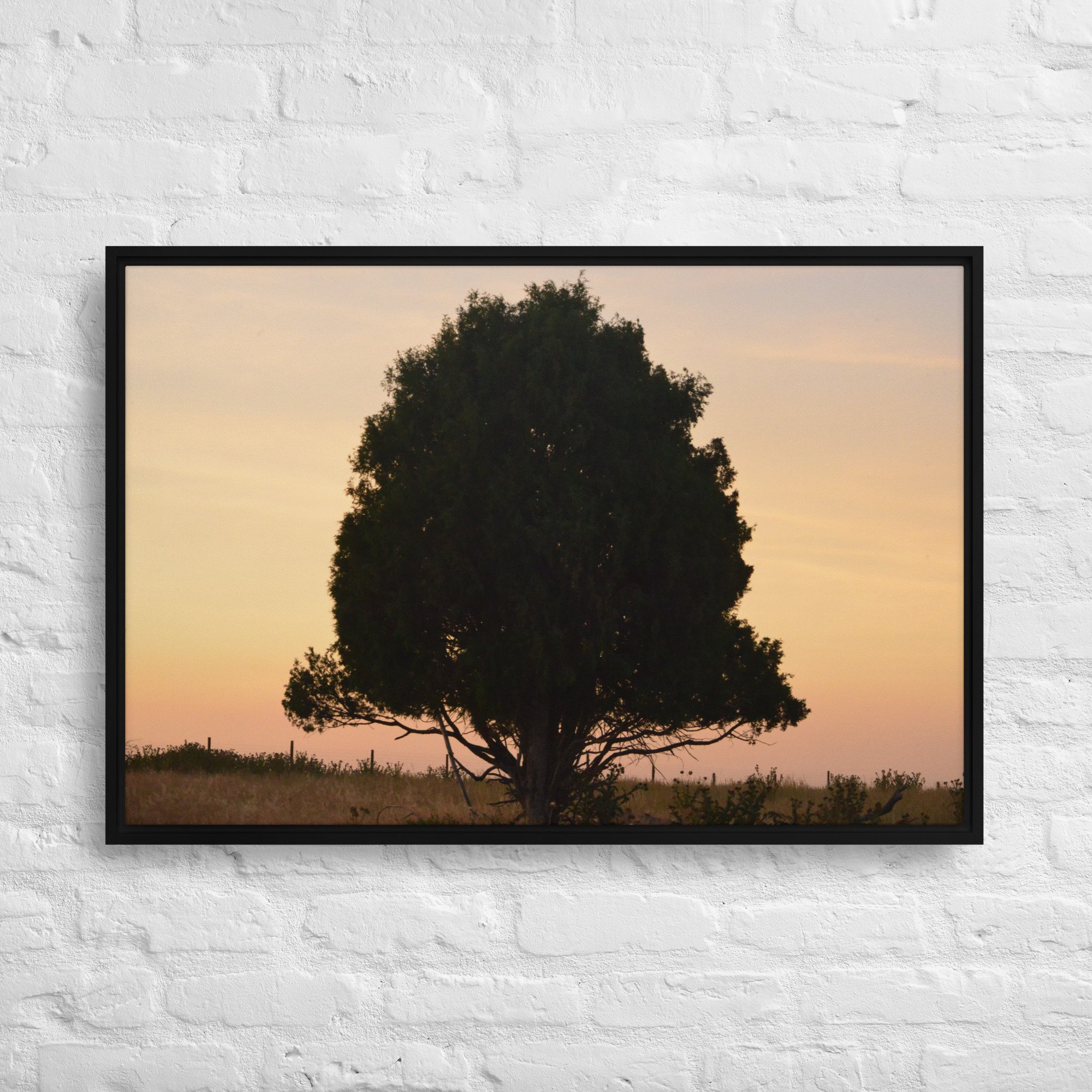 framed-canvas-(in)-black-24x36-front-65ee8e15304ef.jpg