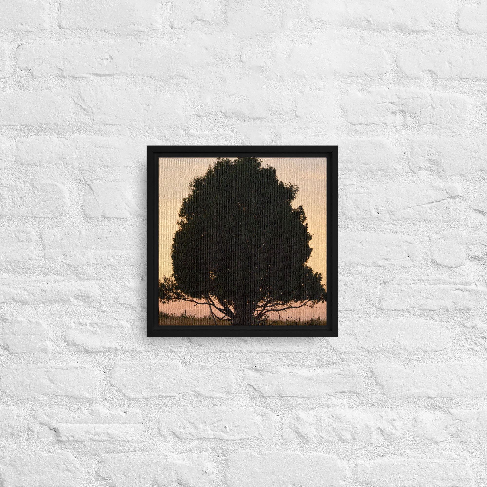 framed-canvas-(in)-black-12x12-front-65ee8e15310d9.jpg