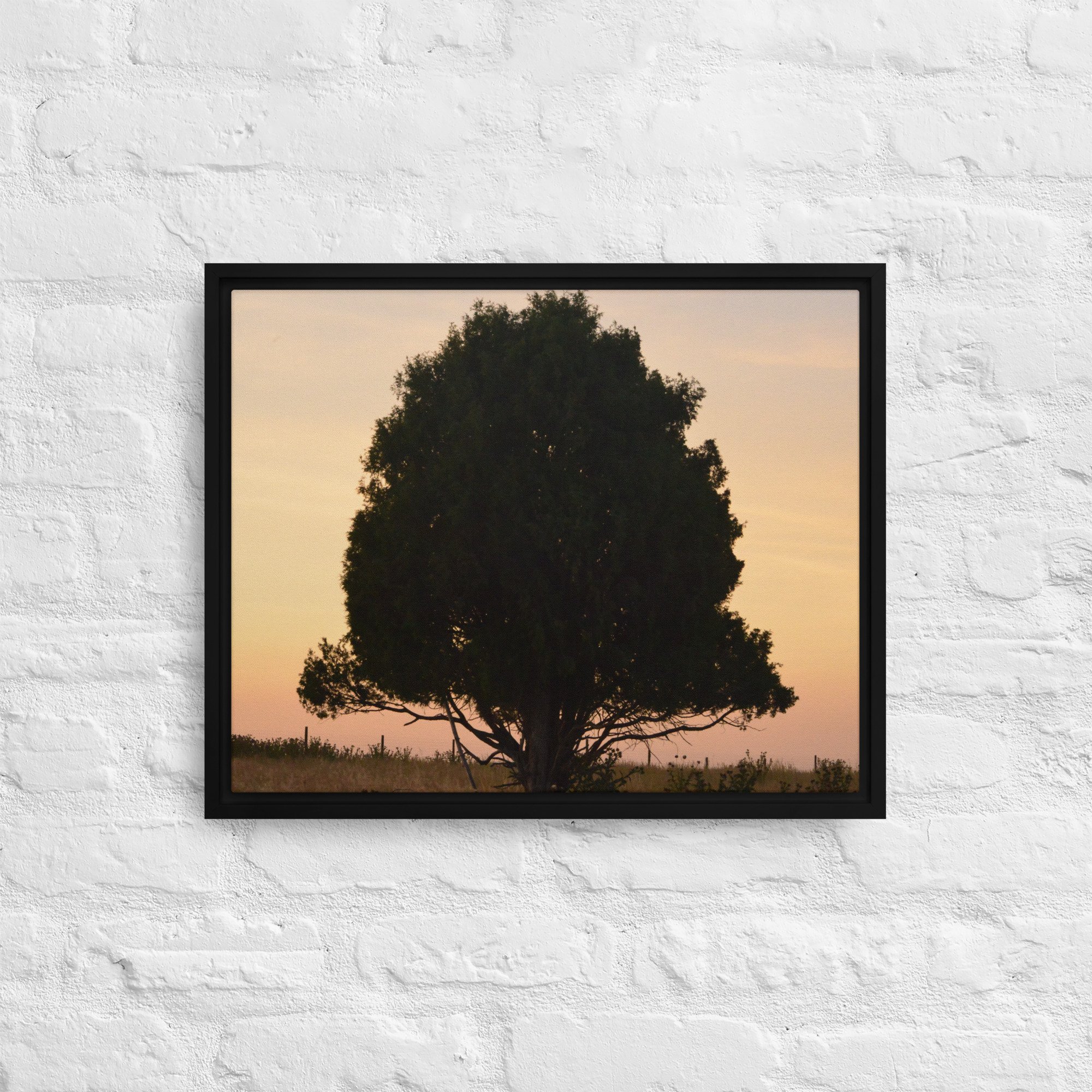 framed-canvas-(in)-black-16x20-front-65ee8e1531249.jpg
