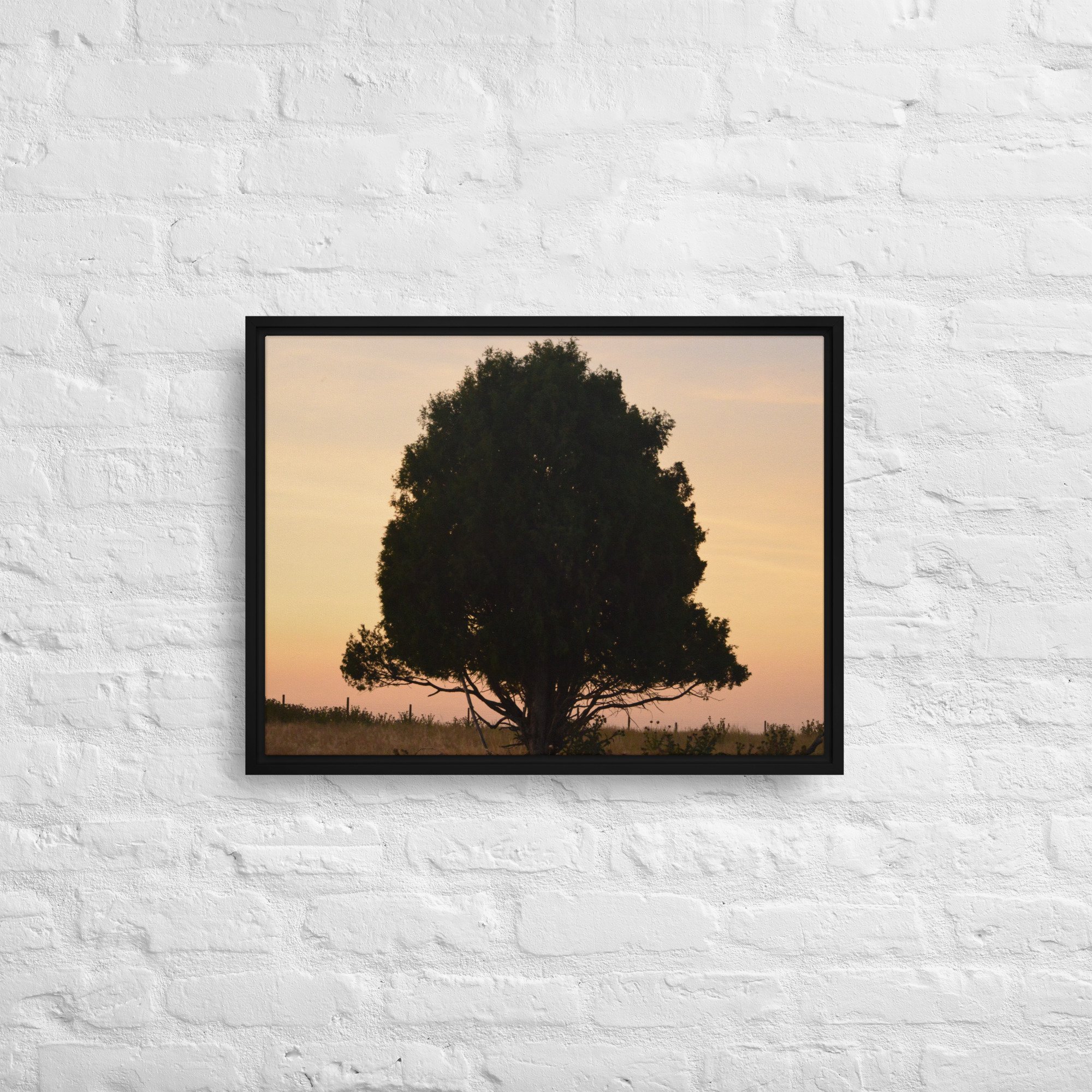 framed-canvas-(in)-black-18x24-front-65ee8e15312b3.jpg