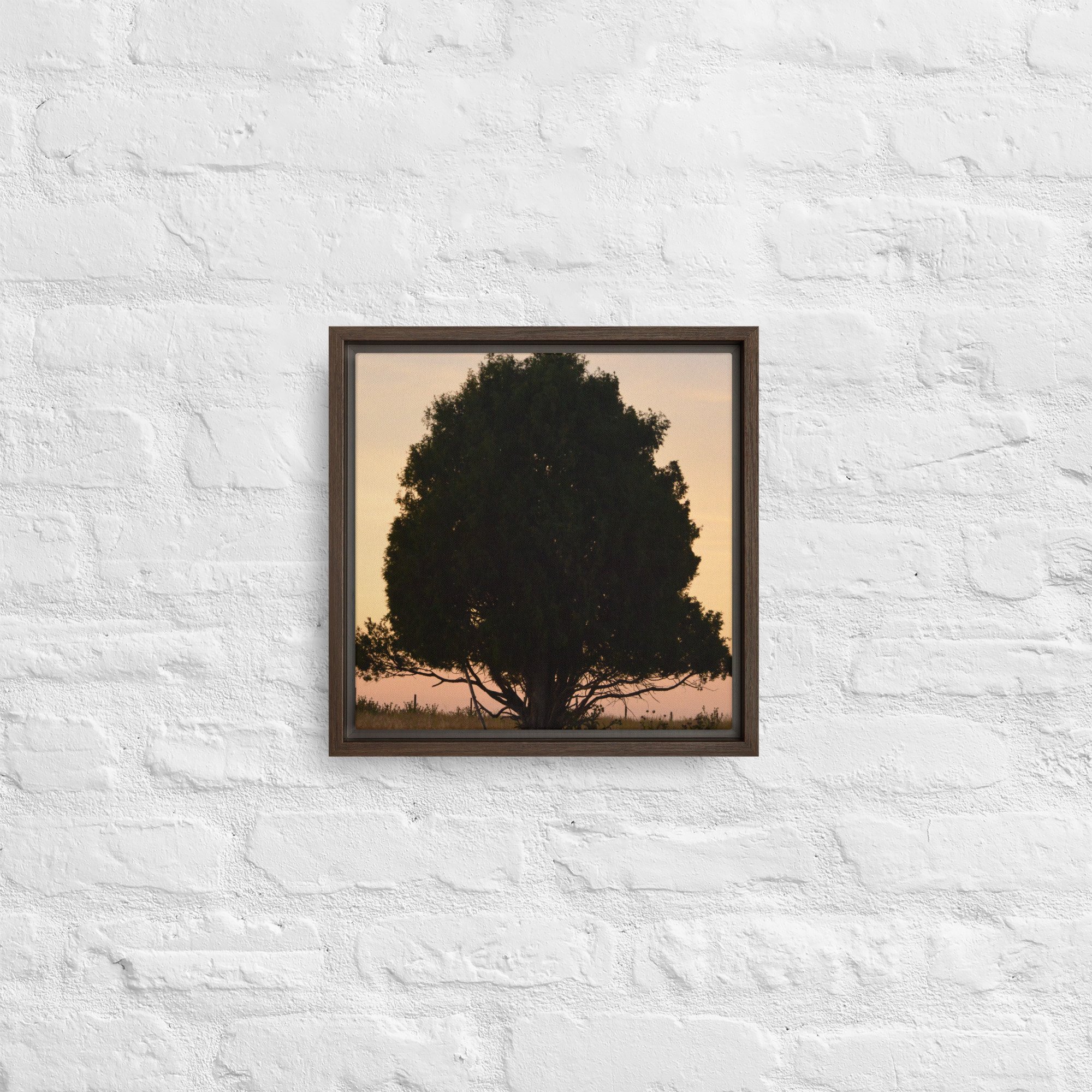 framed-canvas-(in)-brown-12x12-front-65ee8e1531334.jpg