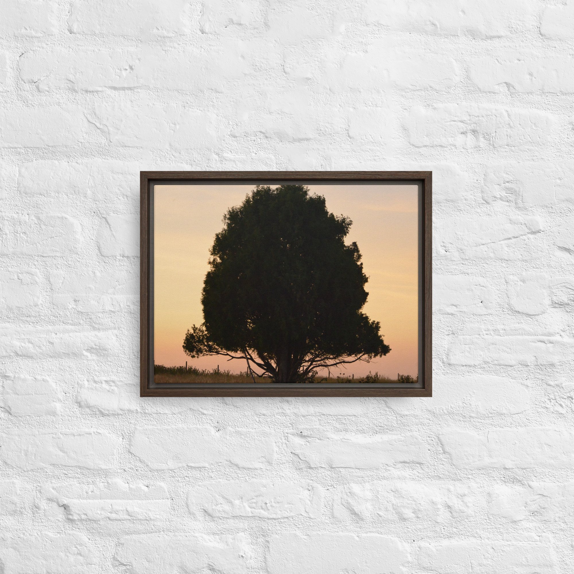 framed-canvas-(in)-brown-12x16-front-65ee8e153139c.jpg