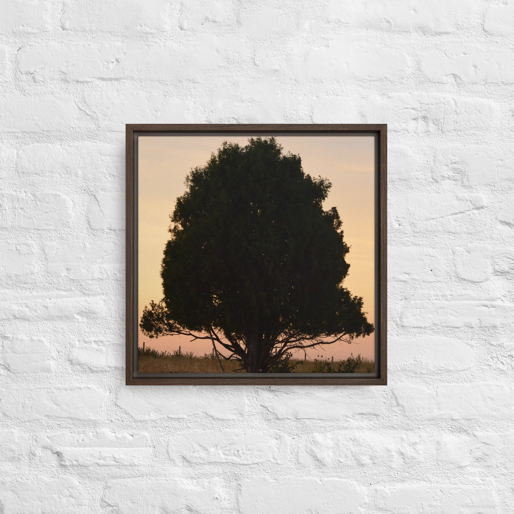 framed-canvas-(in)-brown-16x16-front-65ee8e1531403.jpg
