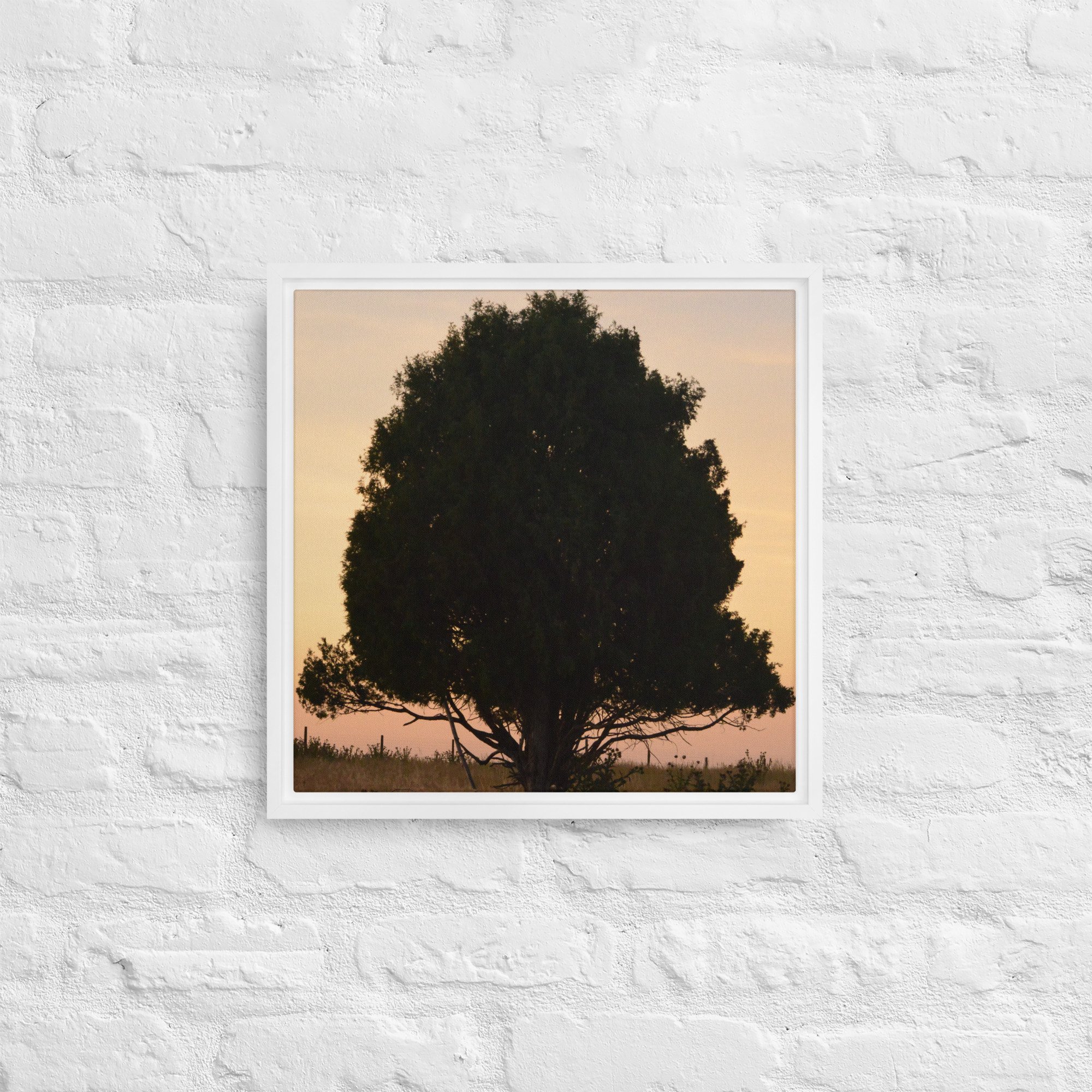 framed-canvas-(in)-white-16x16-front-65ee8e1531678.jpg
