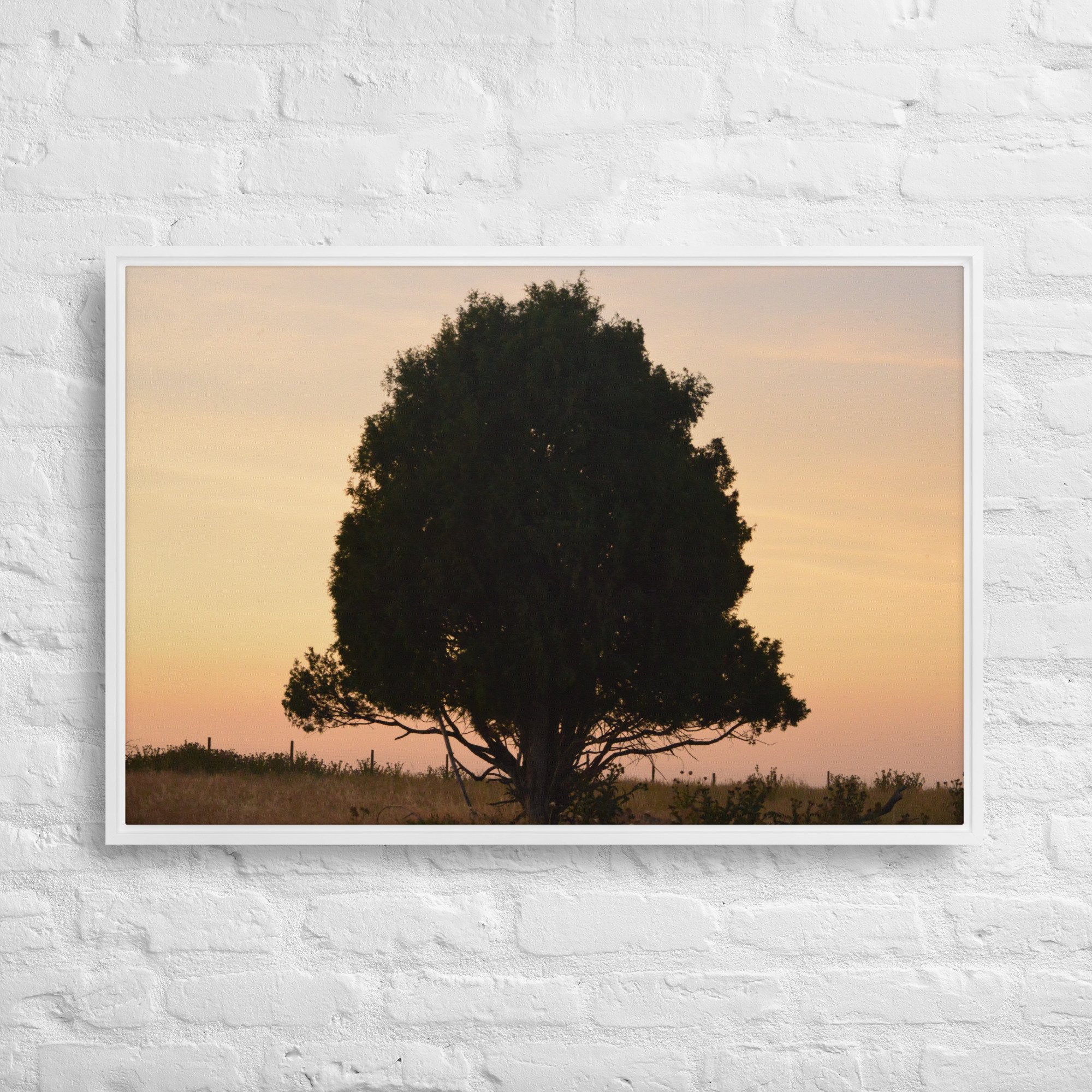 framed-canvas-(in)-white-24x36-front-65ee8e15317b3.jpg