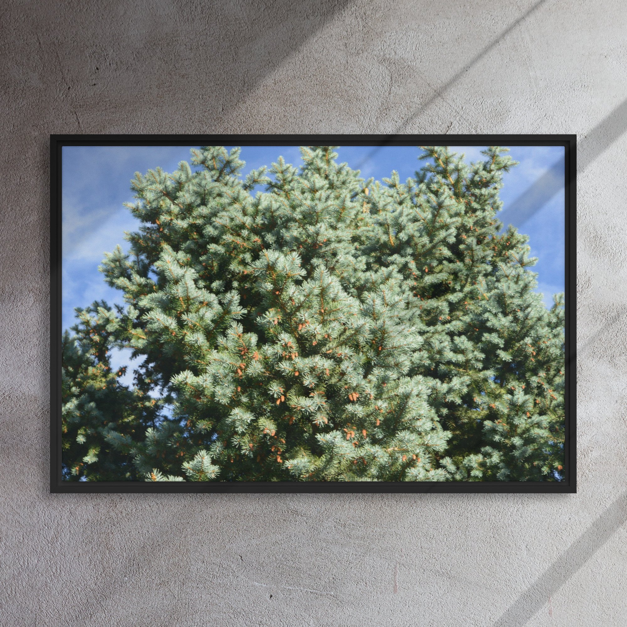 framed-canvas-(in)-black-24x36-front-65ee909449f69.jpg