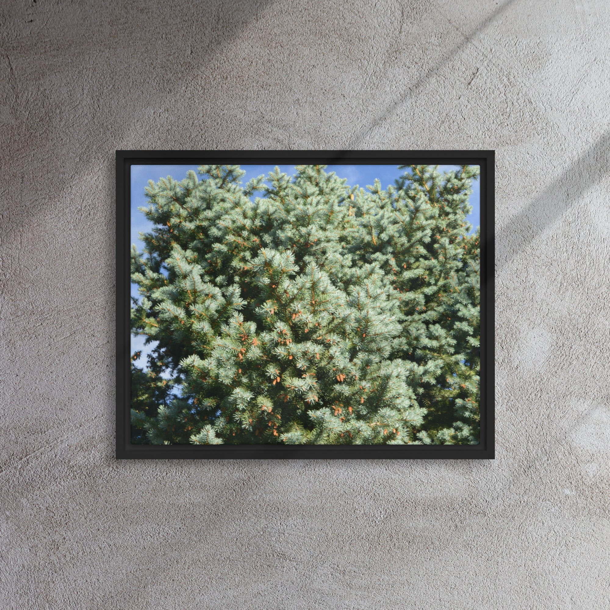 framed-canvas-(in)-black-16x20-front-65ee90944af77.jpg