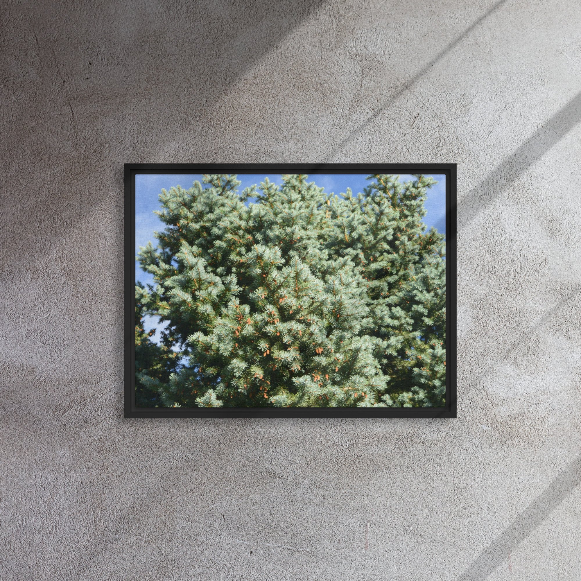 framed-canvas-(in)-black-18x24-front-65ee90944afe1.jpg