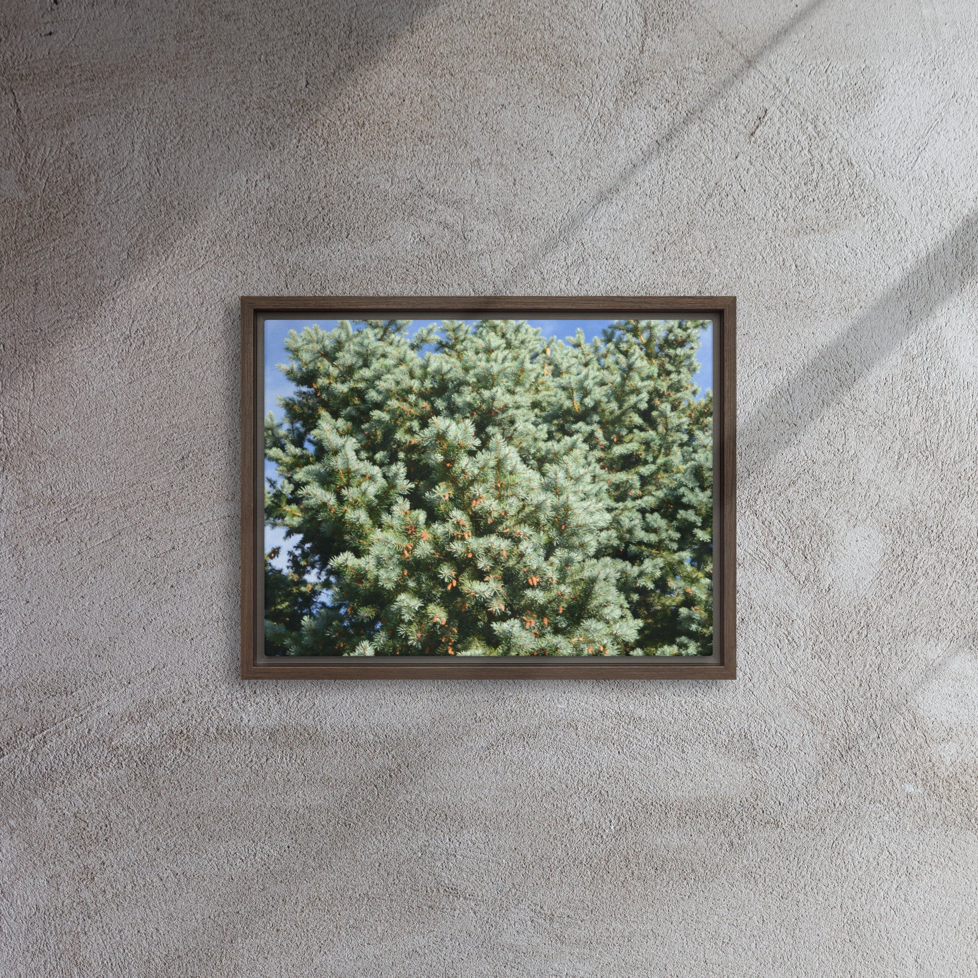 framed-canvas-(in)-brown-12x16-front-65ee90944b060.jpg
