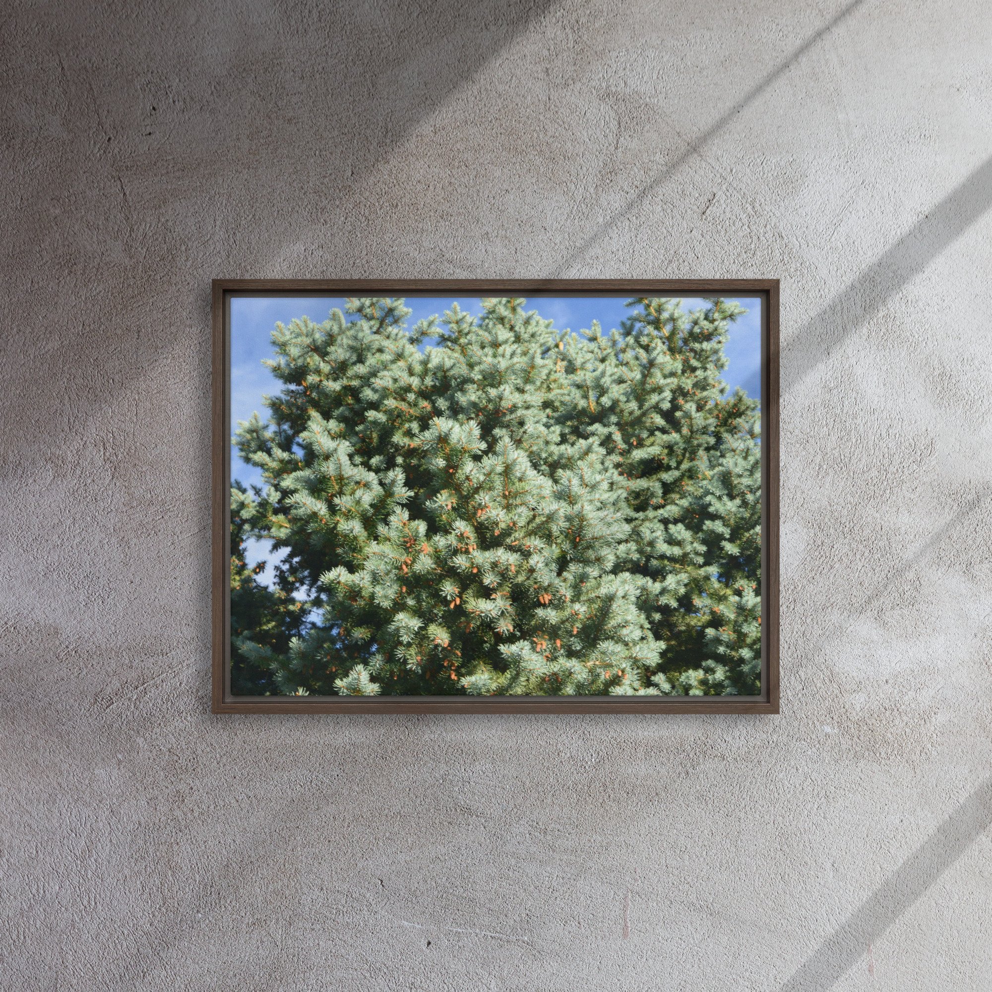framed-canvas-(in)-brown-18x24-front-65ee90944b123.jpg