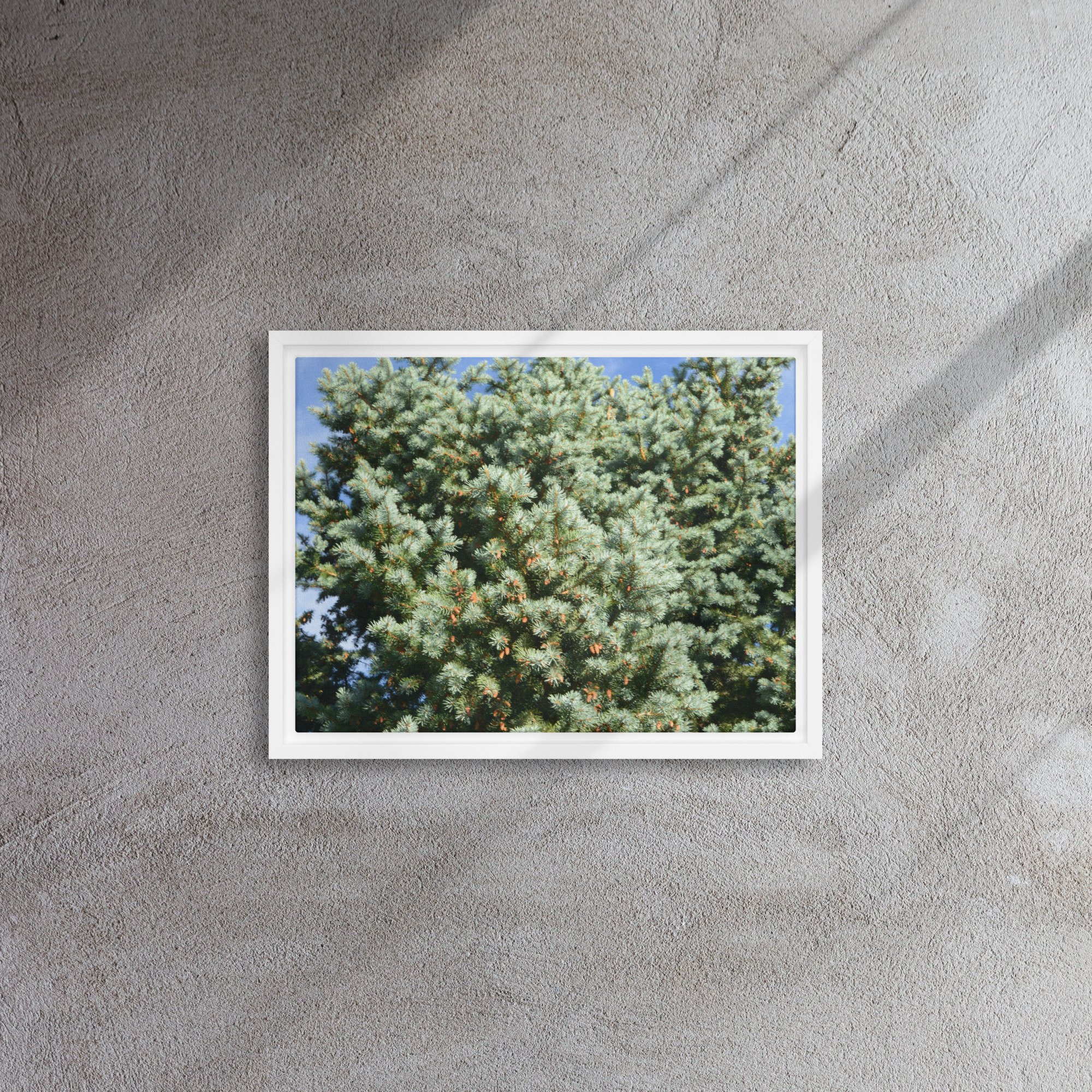 framed-canvas-(in)-white-12x16-front-65ee90944b1e5.jpg
