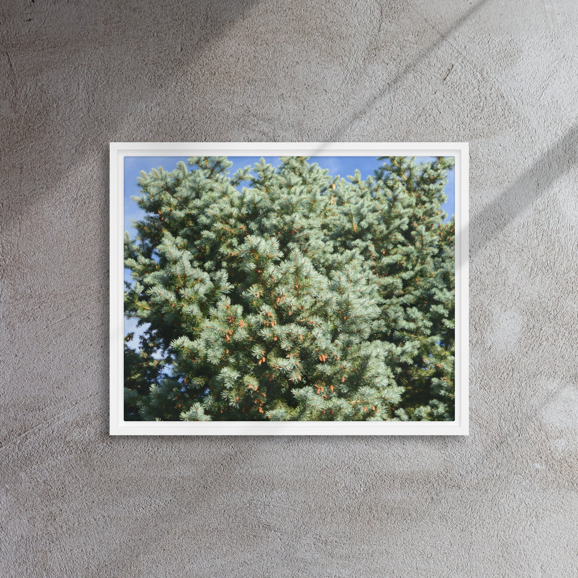 framed-canvas-(in)-white-16x20-front-65ee90944b246.jpg