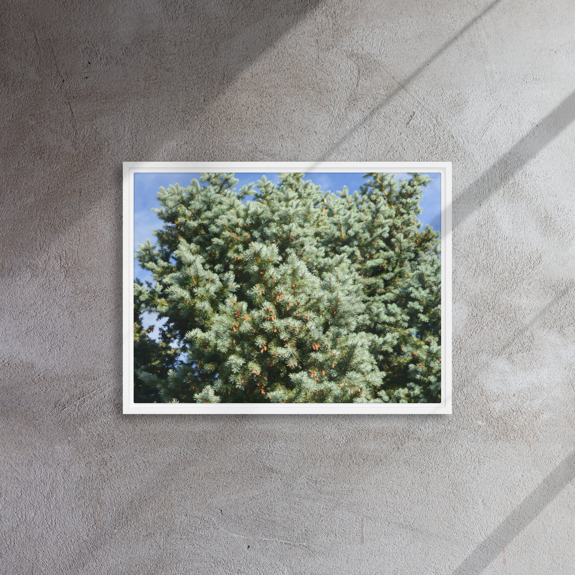 framed-canvas-(in)-white-18x24-front-65ee90944b2a6.jpg