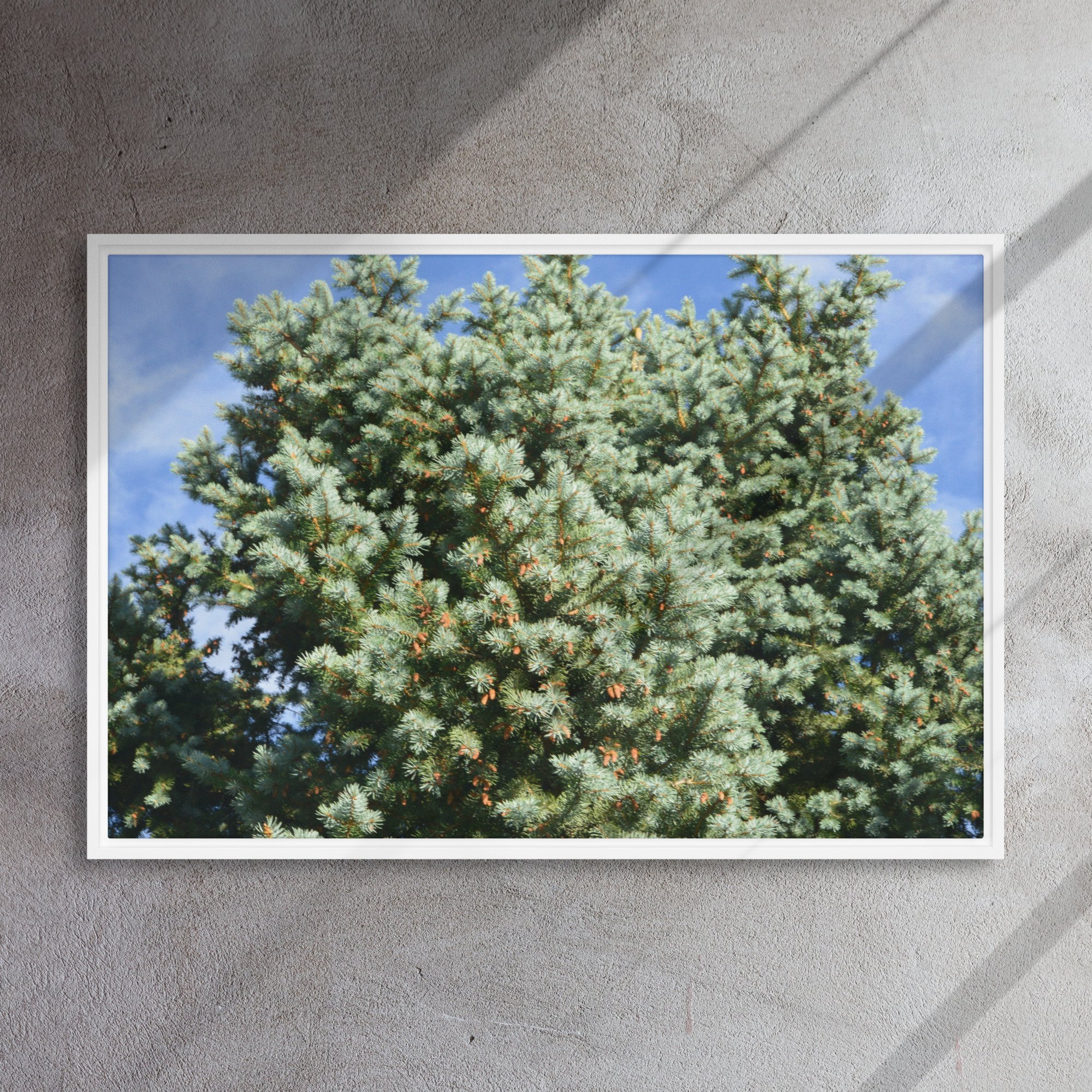 framed-canvas-(in)-white-24x36-front-65ee90944b305.jpg