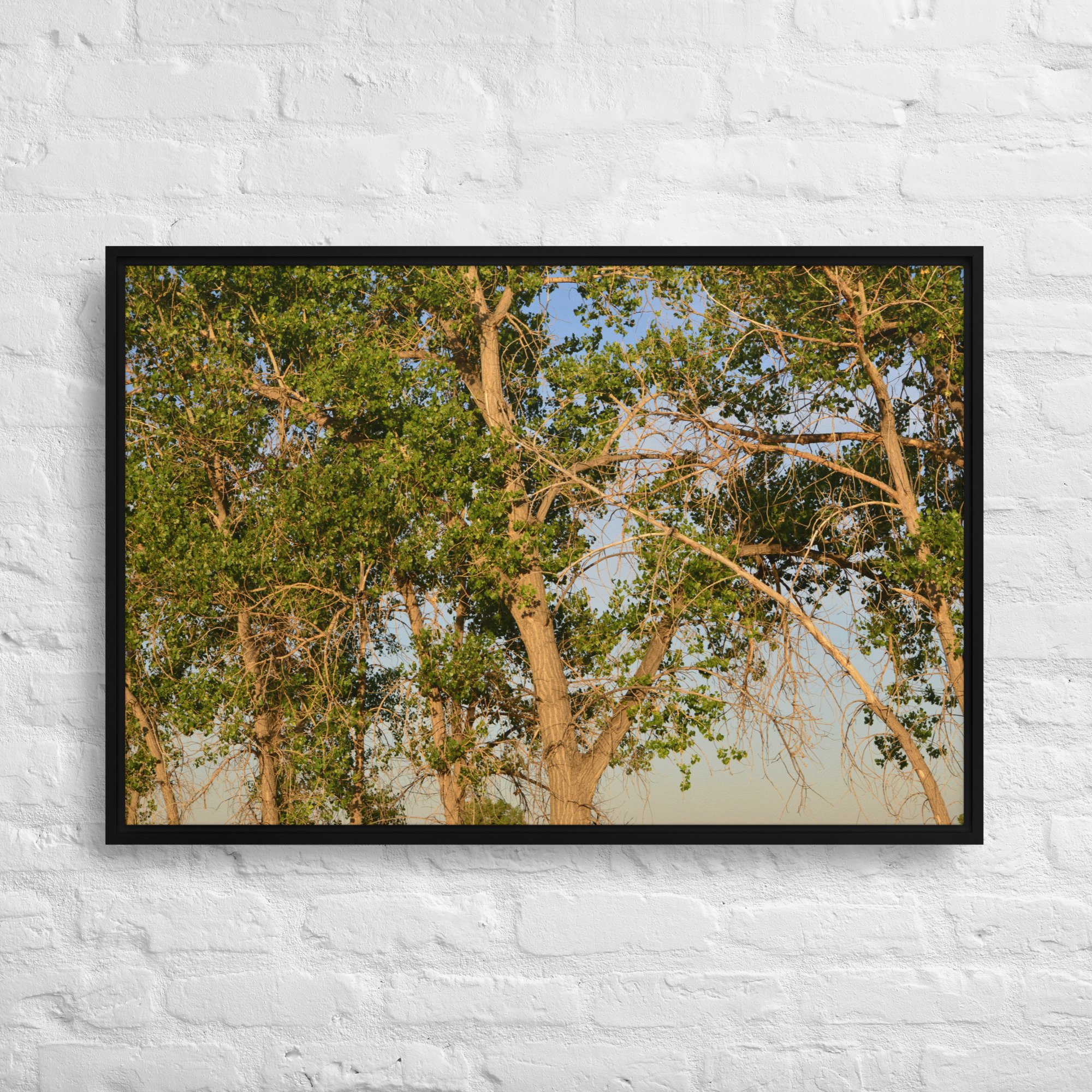 framed-canvas-(in)-black-24x36-front-65ee90e7d3fc6.jpg
