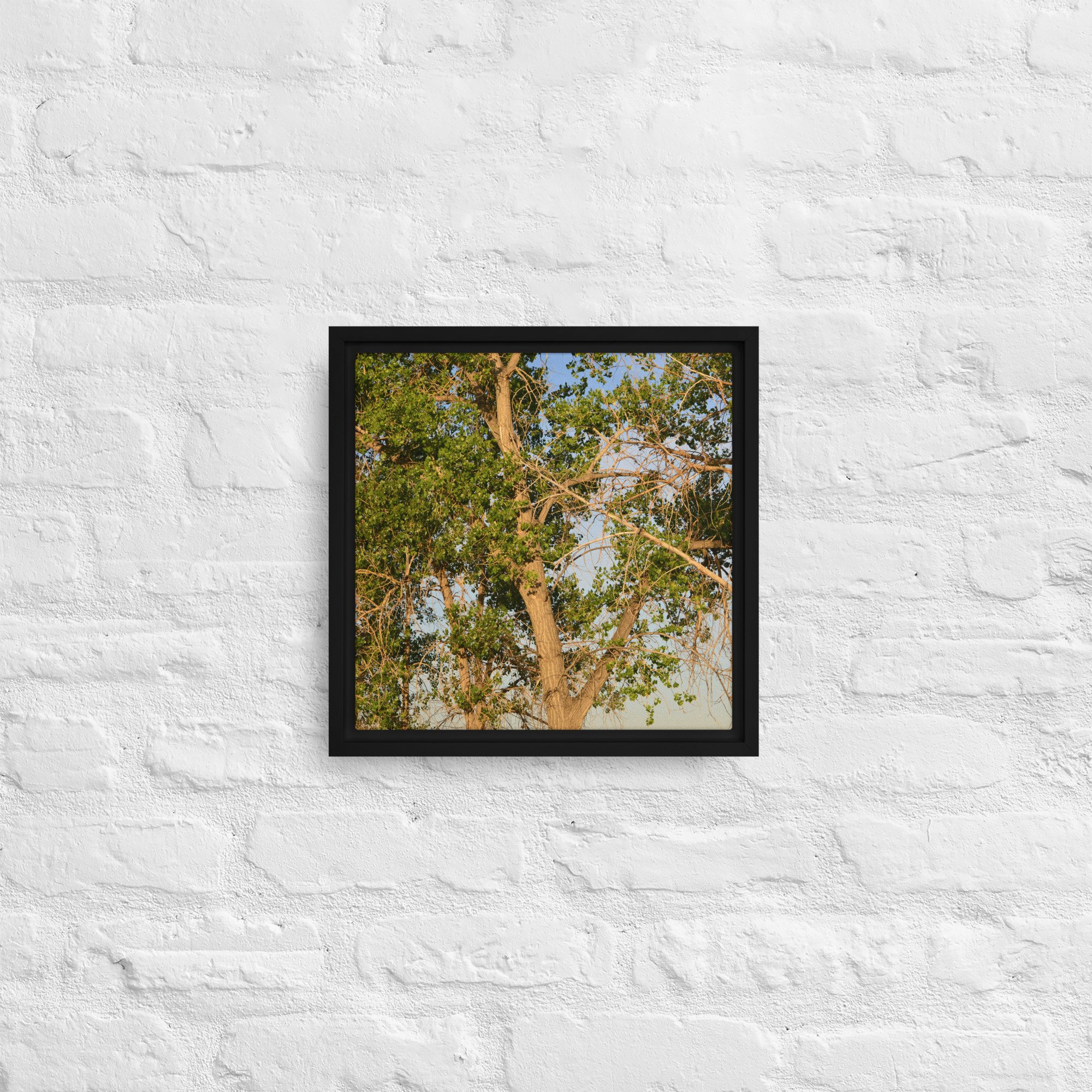 framed-canvas-(in)-black-12x12-front-65ee90e7d54bd.jpg
