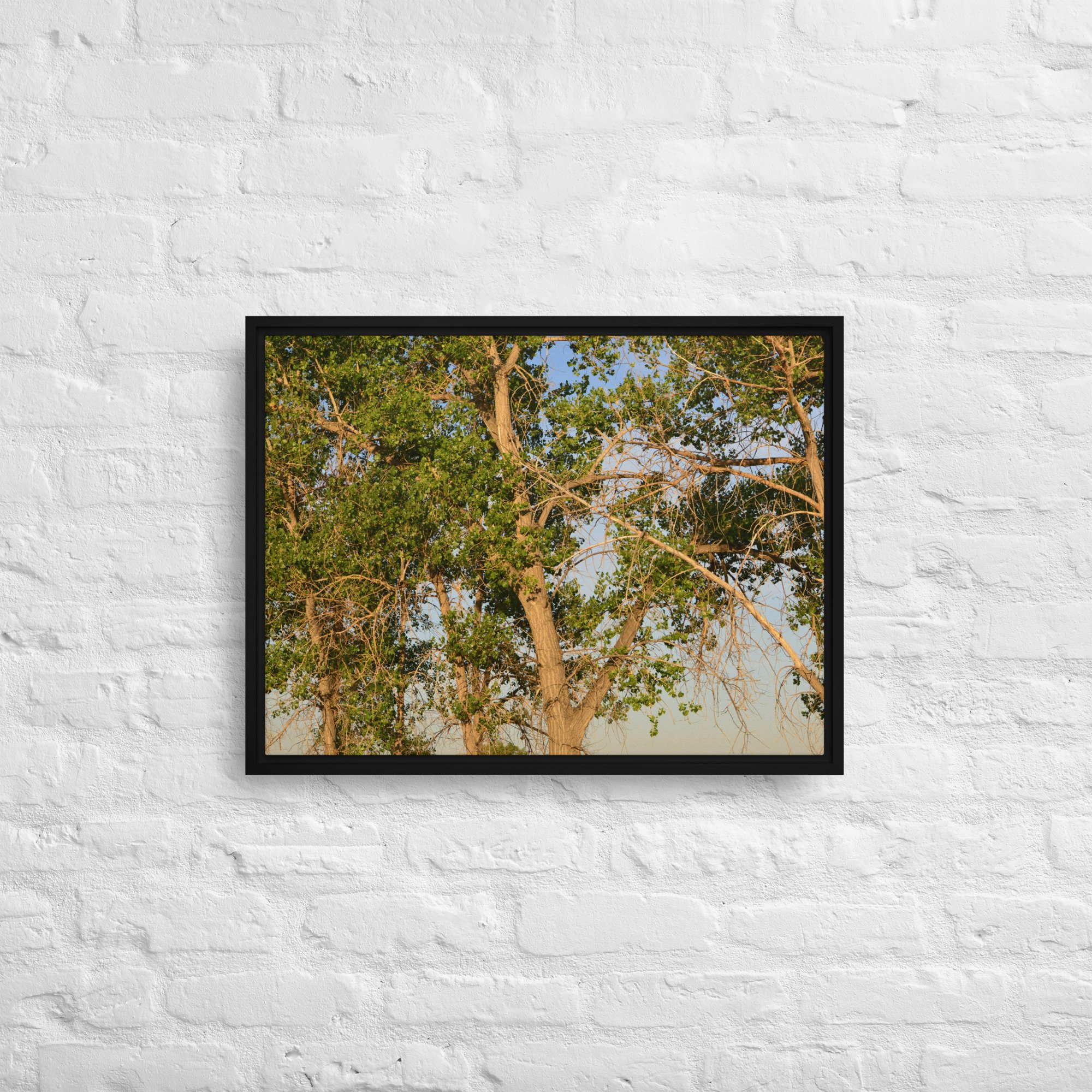 framed-canvas-(in)-black-18x24-front-65ee90e7d56e0.jpg