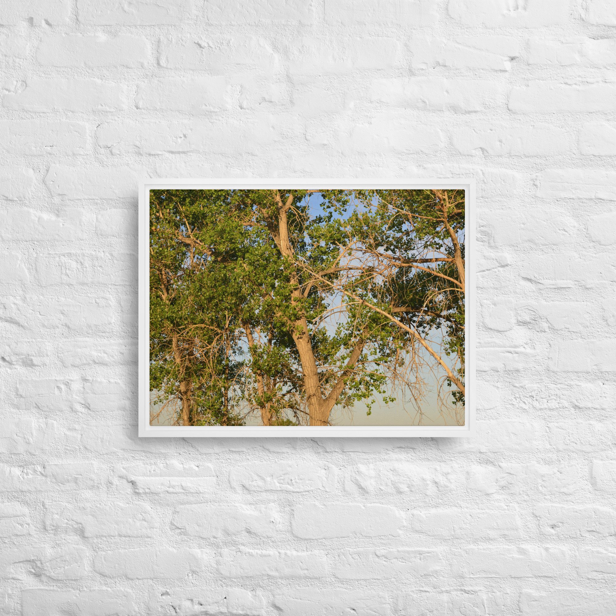 framed-canvas-(in)-white-18x24-front-65ee90e7d5bcd.jpg